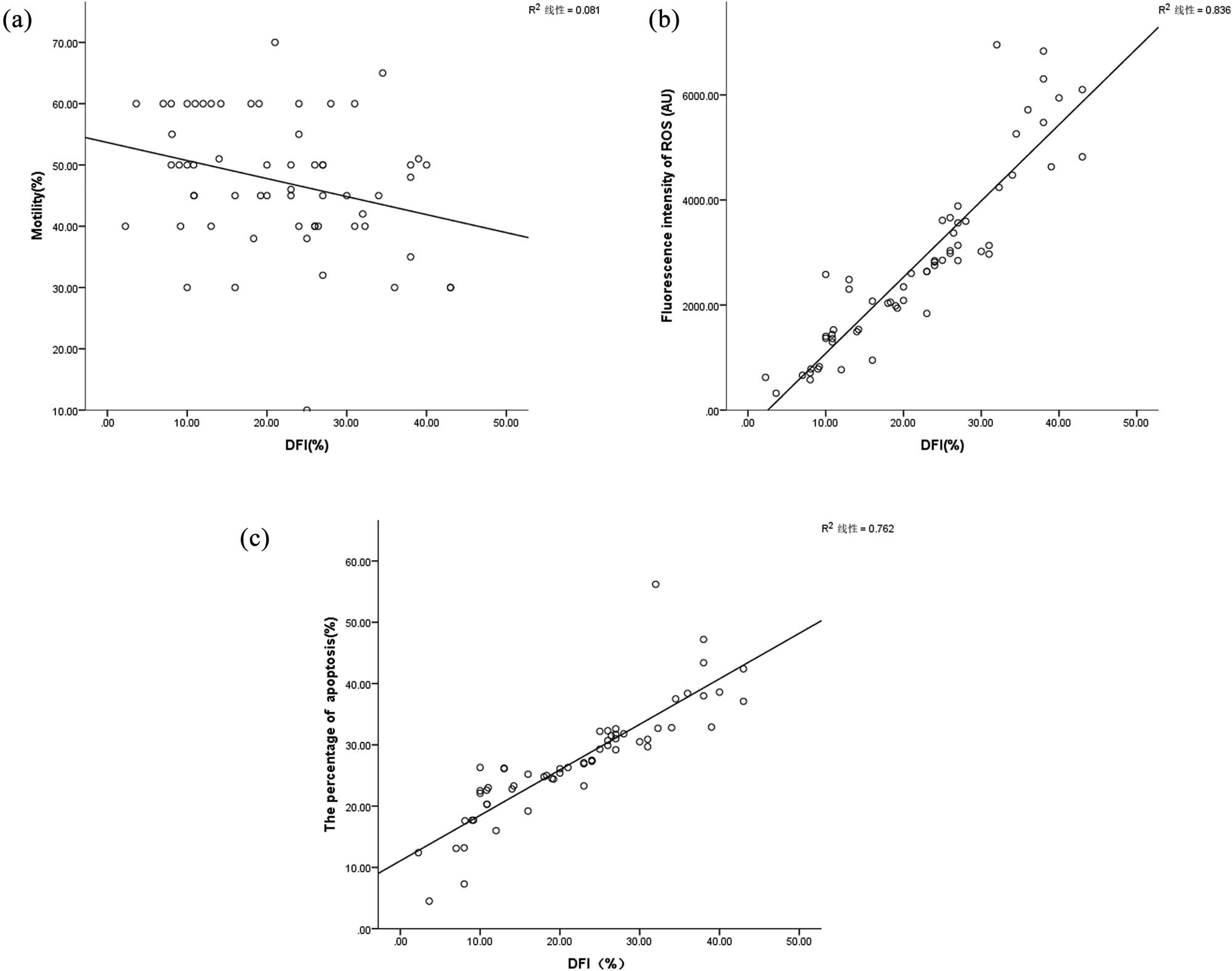 Figure 3 
                  Relationship between DFI and sperm motility, apoptosis rate, and ROS. (a) Correlation between DFI and sperm motility (r = −0.263, P < 0.05). (b) Correlation between DFI and ROS (r = 0.900, P < 0.05). (c) Correlation between DFI and sperm apoptosis rate (r = 0.864, P < 0.05).
               
