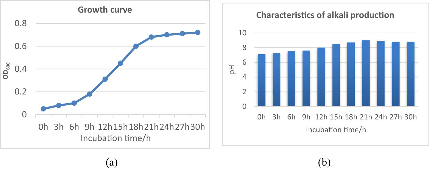 Figure 3 
                  Growth and alkali production characteristics of the strain. Note: (a) as growth curve, (b) as characteristics of alkali production.
               