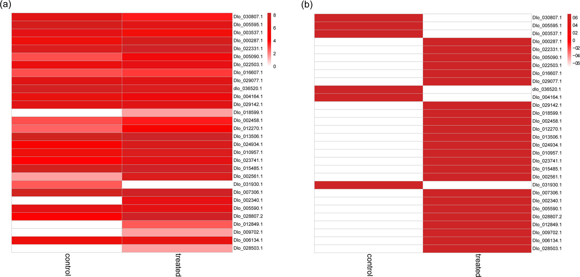 Figure 6 
                  Heatmap representing the differential expression of flowering-related genes between untreated control and KClO3-induced floral buds. (a) Heatmap of non-normalized expression values. (b) Heatmap of row-normalized expression values.
               