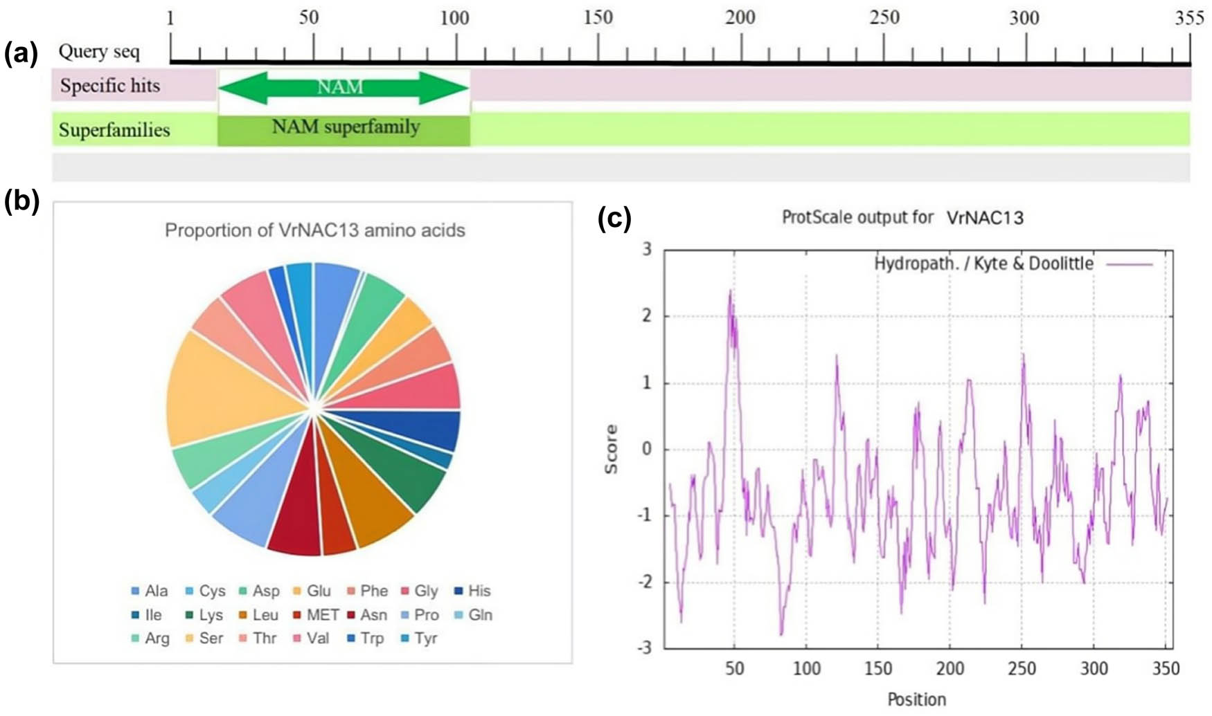 Figure 2 
                  Physical and chemical properties of VrNAC13. Predictions of the conserved domains (a), amino acid composition (b), and hydrophobicity of each region (c) in VrNAC13.
               