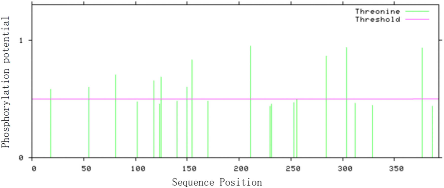 Figure 3 
                  Predicted phosphorylation sites within VrNAC13.
               