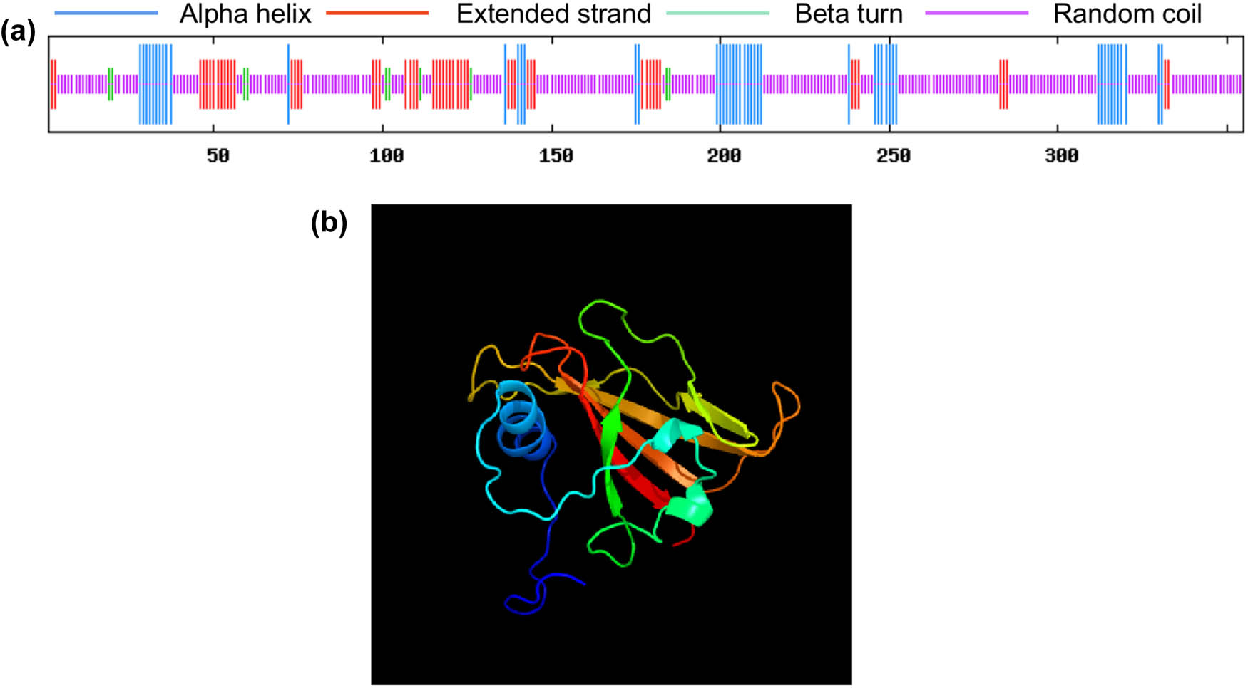 Figure 4 
                  Predicted secondary (a) and tertiary (b) structures of VrNAC13.
               