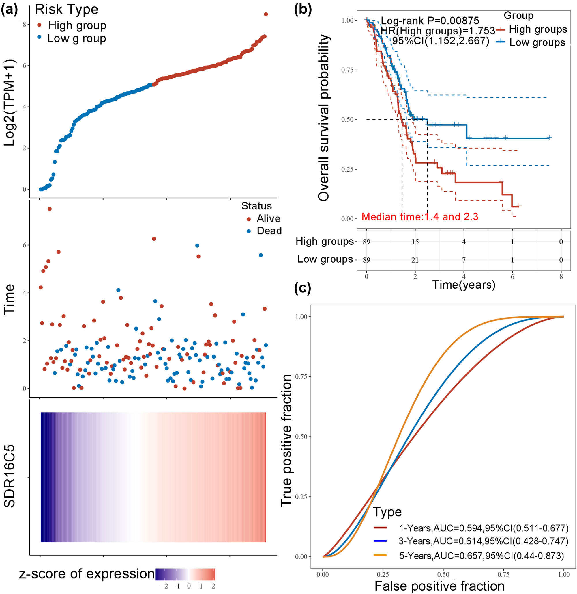 Figure 4 
                  Overexpression of SDR16C5 predicts poorer prognoses in PAAD. (a) The relationship between the expression of SDR16C5 and patient survival time and status in TCGA data. The top image represents the scatter plot of gene expression from low to high, and different colors represent different expression groups. The middle image represents the distribution of survival time and survival status corresponding to the gene expression of different samples. The bottom image represents the expression heat map of the SDR16C5 gene. (b) The KM survival curve distribution of the SDR16C5 gene in the TCGA data set. (c) The AUC curve of the model evaluation index. The higher the P-value, the better the predictive effects of the model.
               
