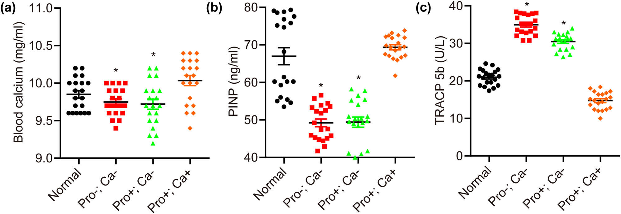 Figure 4 
                  Low calcium diet during pregnancy interferes with the bone metabolism of offspring mice. The contents of blood calcium (a) and PINP (b) are significantly lower, while TRACP 5b (c) is significantly higher in offspring mice of the Pro−; Ca− and Pro+; Ca− groups compared with the normal group. n = 20. *p < 0.05.
               