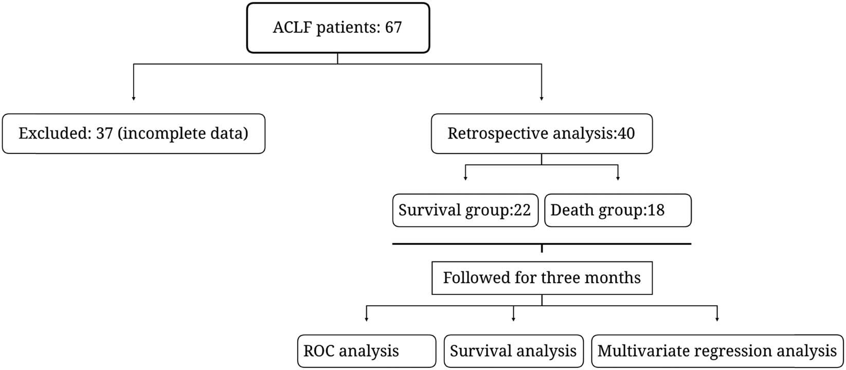 Figure 1 
                  Clinical research flow diagram.
               