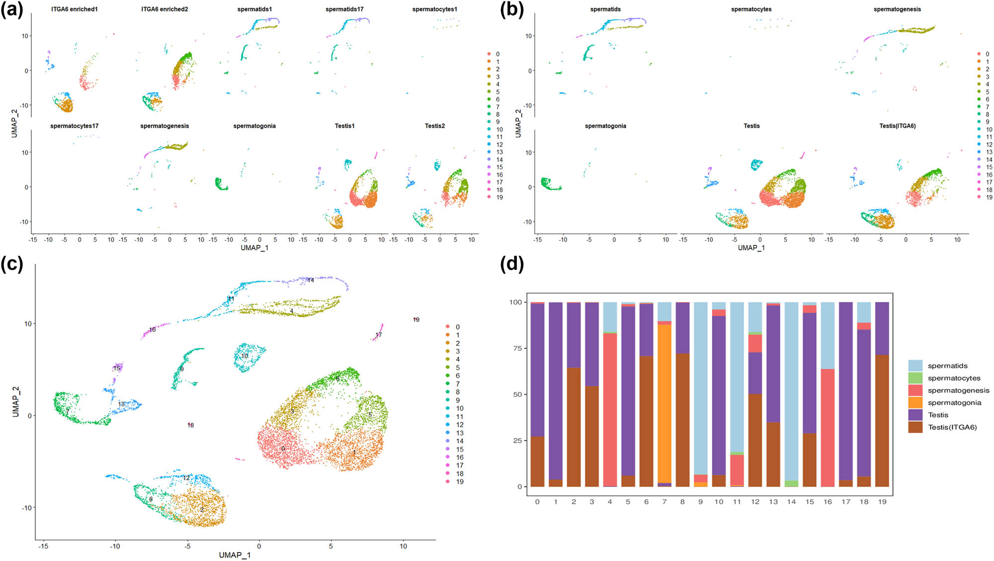Figure 1
Single-cell sequencing data integrated by Seurat: (a) distribution of 10 data sets, (b) 6 cell groups merged from the data sets, (c) an integrated data set containing 20 cell clusters, and (d) the stacked graph showing the proportion of six cell groups in the cell clusters.