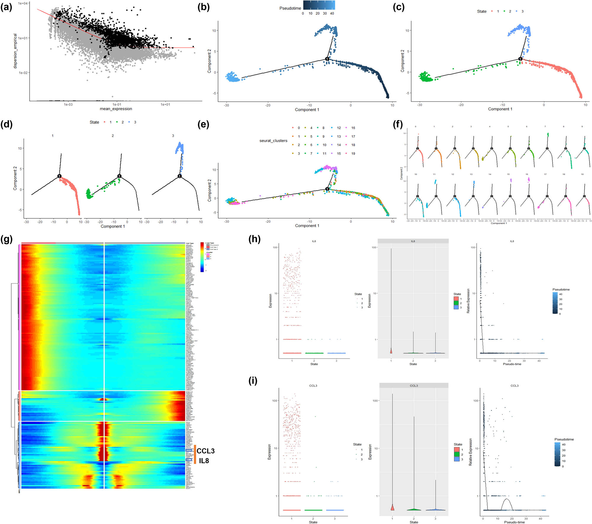Figure 3
Pseudotime time analysis of testicular cells: (a) Scatter plot of gene expression levels. The black dots are genes that are abnormally mutated between cells for cluster analysis. (b) The pseudo-chronological analysis of testicular cells shows that a branch appears during the development of testicular cells. (c and d) The results of pseudo-time sequence analysis show that there are three states in total. (e and f) The specific positions of 20 cell clusters in state, among which Macrophage and Endothelial cells are mainly enriched in state 1. (g) Heat map of the differential genes among the three state cells. The CCL4 and IL8 genes show a trend from high expression to low expression in state 1. (h and i) The expression of CCL4 and IL8 genes in the developmental trajectory of testicular cells.