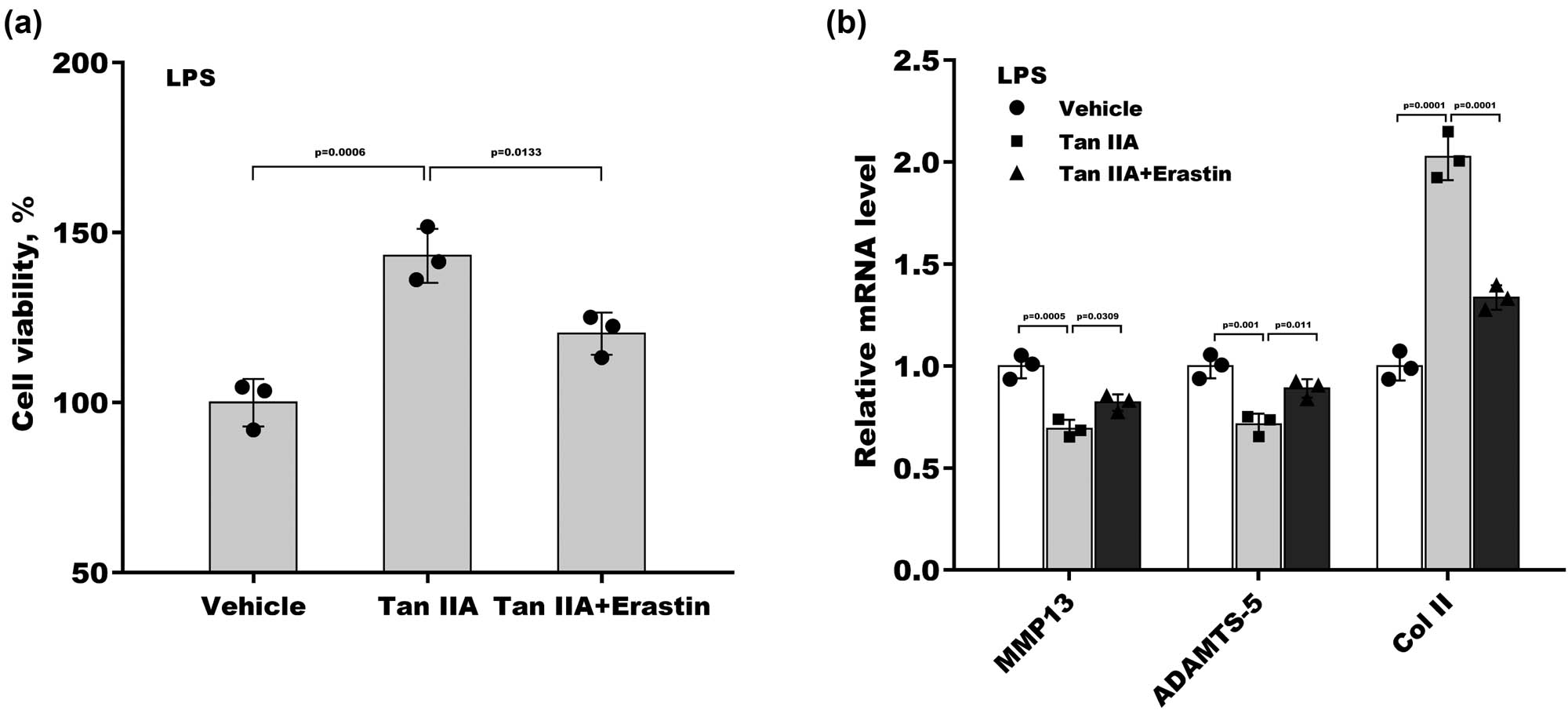 Figure 4 
                  Tan IIA alleviates chondrocyte injury by inhibiting ferroptosis: (a) ATDC5 cells were treated with Tan IIA and erastin for 48 h under LPS-induced stress, and then, cell viability was measured using CCK8 assays. (b) ATDC5 cells were treated with Tan IIA and erastin for 48 h under LPS-induced stress, and then, the mRNA levels of MMP13, ADAMTS5, and Col II were assessed using qRT‒PCR.
               
