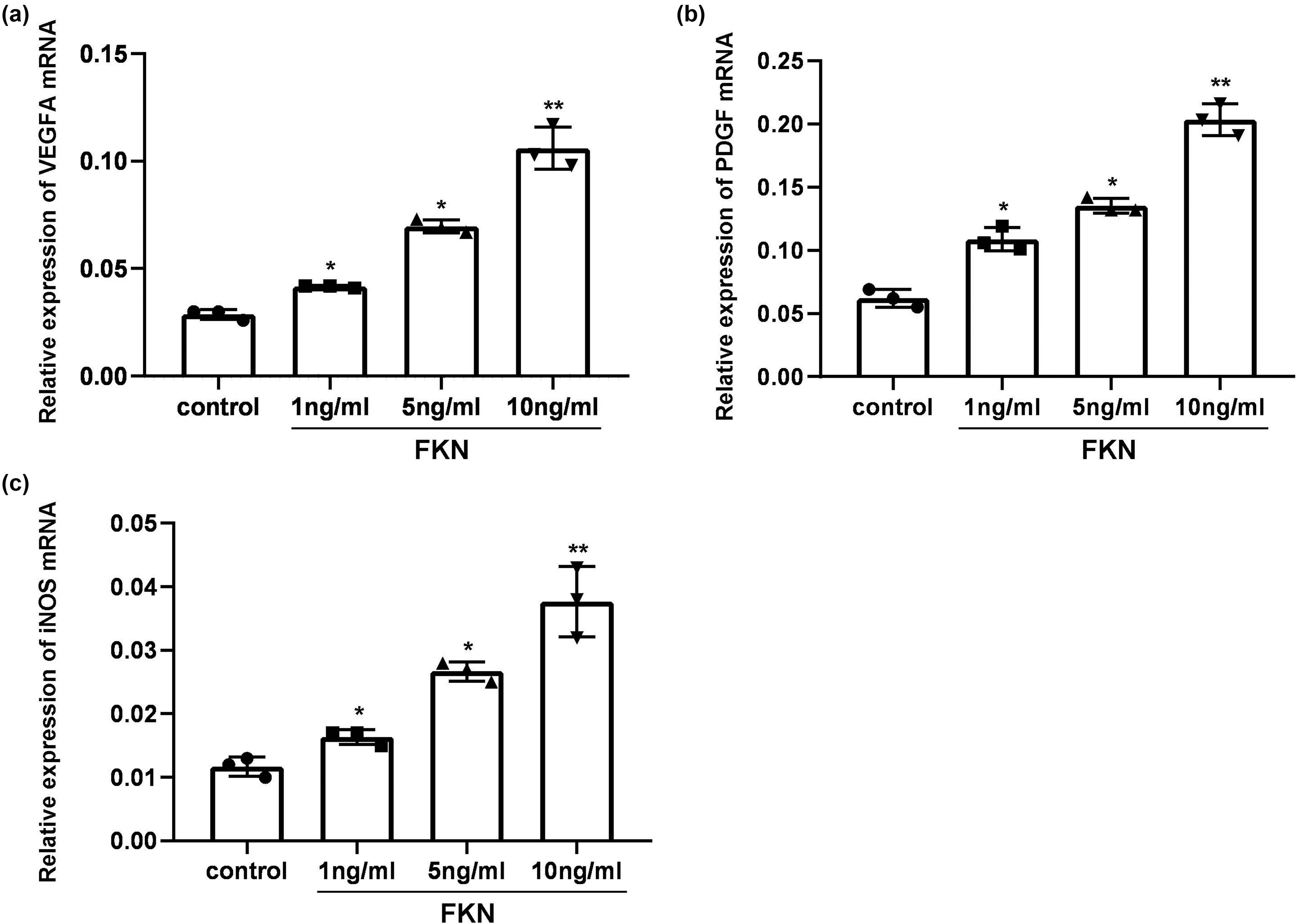 Figure 2
Effects of FKN treatment on gene transcription of growth factors, including VEGF-A, PDGF, and iNOS. (a) Gene transcription of VEGFA. (b) Gene transcription of PDGF. (c) Gene transcription of iNOS. *p < 0.05 versus 0 ng/mL FKN treatment. VEGFA: vascular endothelial growth factor A, iNOS: inducible nitric oxide synthase, PDGF: platelet-derived growth factor.