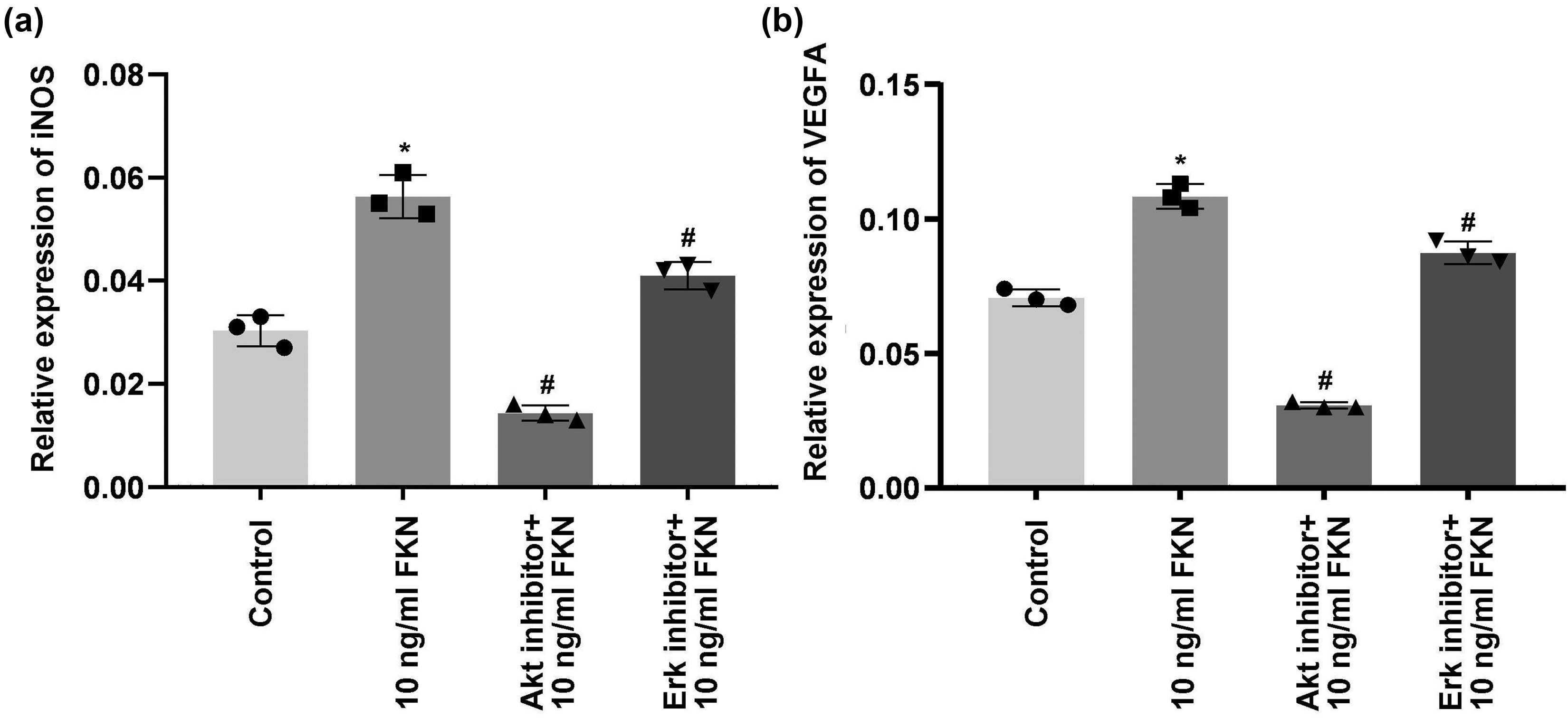 Figure 5
Reductive effects of 10 mg/mL FKN treatment combining Akt inhibitor or Erk inhibitor on gene transcriptions of iNOS and VEGF molecule. (a) RT-PCR analysis for gene transcription of iNOS. (b) RT-PCR analysis for gene transcription of VEGF. *p < 0.05 versus Control group. #
p < 0.05 versus 10 ng/mL FKN treatment. FKN: fractalkine, Akt: protein kinase B, rk1/2: extracellular regulated kinase1/2, VEGFA: vascular endothelial growth factor A, iNOS: inducible nitric oxide synthase.