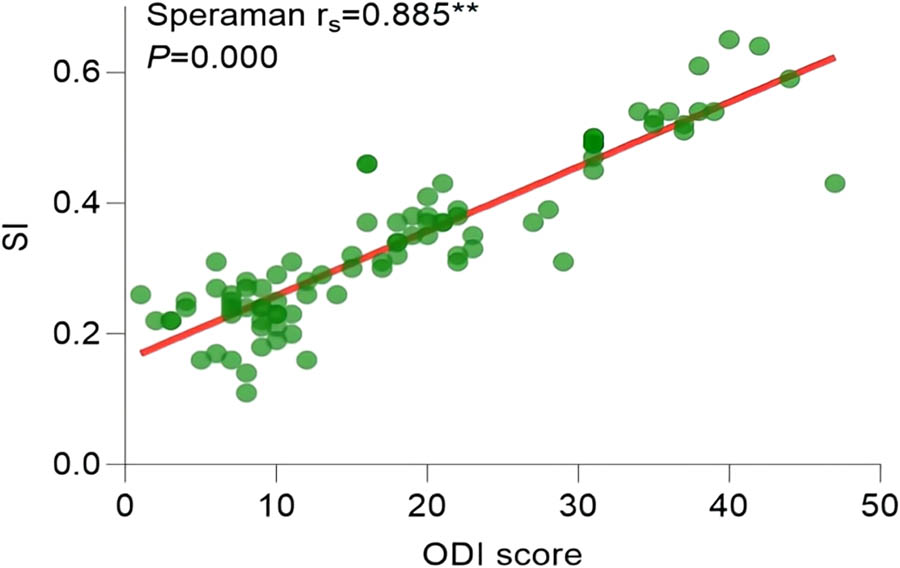 Figure 15 
               Correlation analysis between SI and ODI.
            