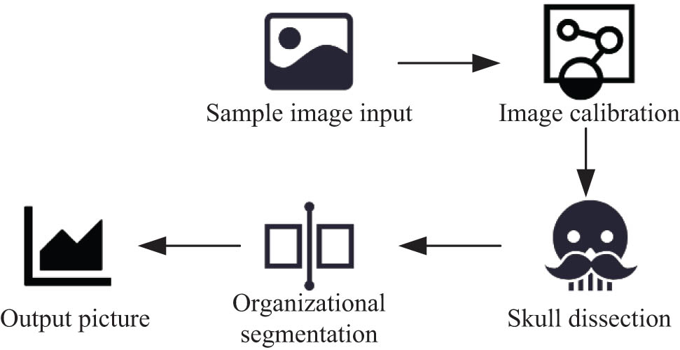 Figure 2
MR image preprocessing.