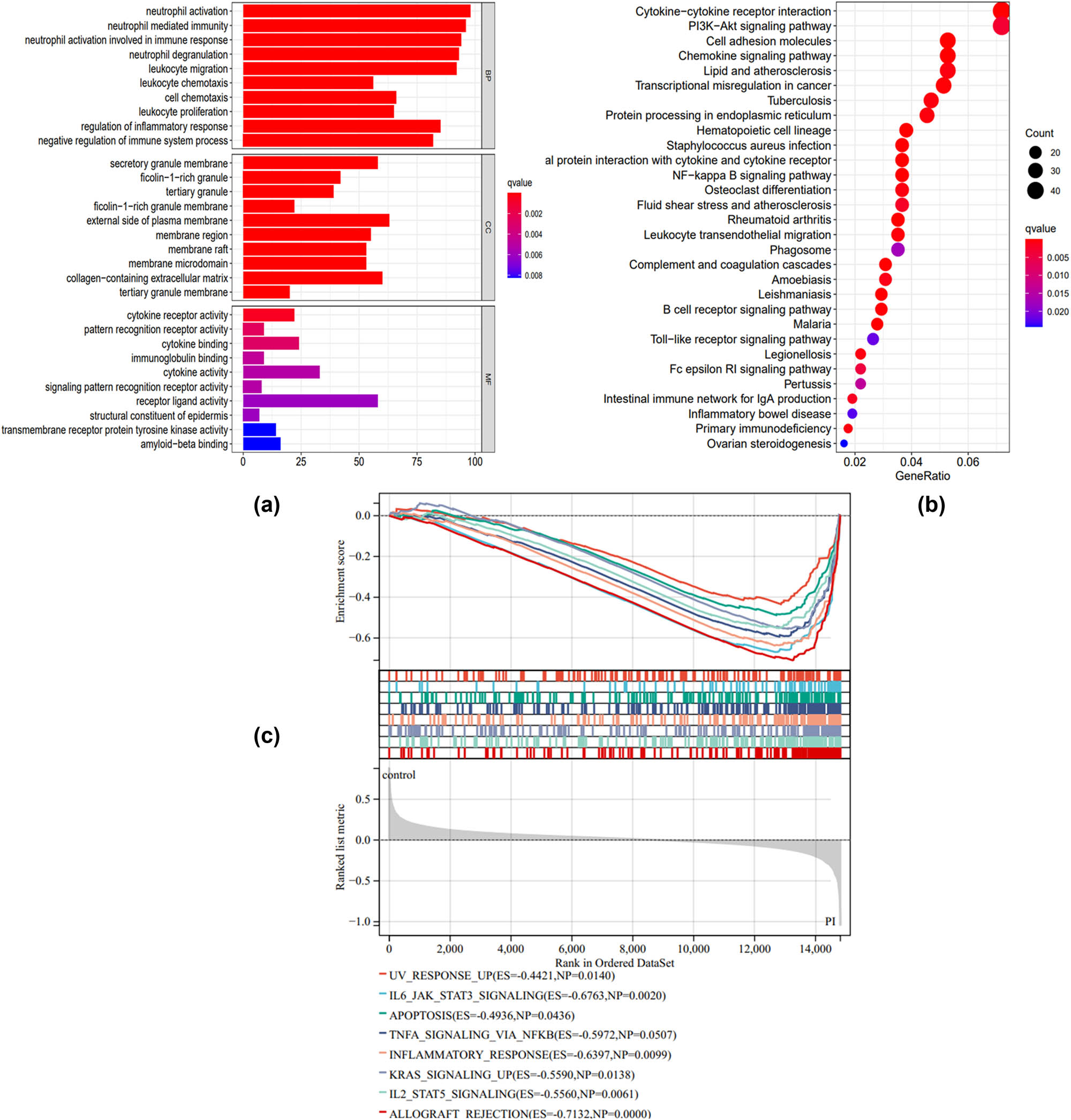 Figure 2
Functional enrichment of DEGs between PI and control group. (a) Bar plot of GO enrichment analysis. The abscissa axis indicates gene number. The ordinate indicates enriched biological structure and function. BP, biological process; MF, molecular function; CC, cellular component. (b) Bubble chart of the KEGG enrichment analysis. The abscissa axis indicates the gene ratio. The ordinate indicates an enriched signaling pathway. (c) GSEA analysis of DEGs between the PI and control group.