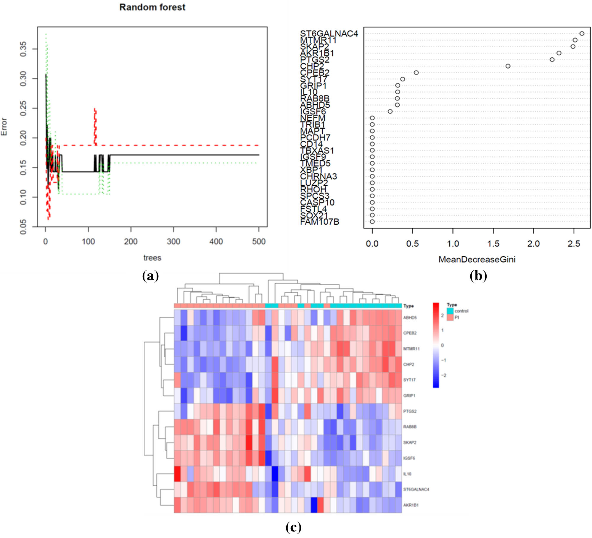 Figure 4
Construction of RF classification. (a) The influence of the number of decision trees on the error rate. The x-axis indicates the number of decision trees, and the y-axis indicates the error rate. (b) The importance of DEGs based on mean decreased Gini coefficient in the RF model. (c) Heatmap of 13 hub genes expressed in PI and control tissues.