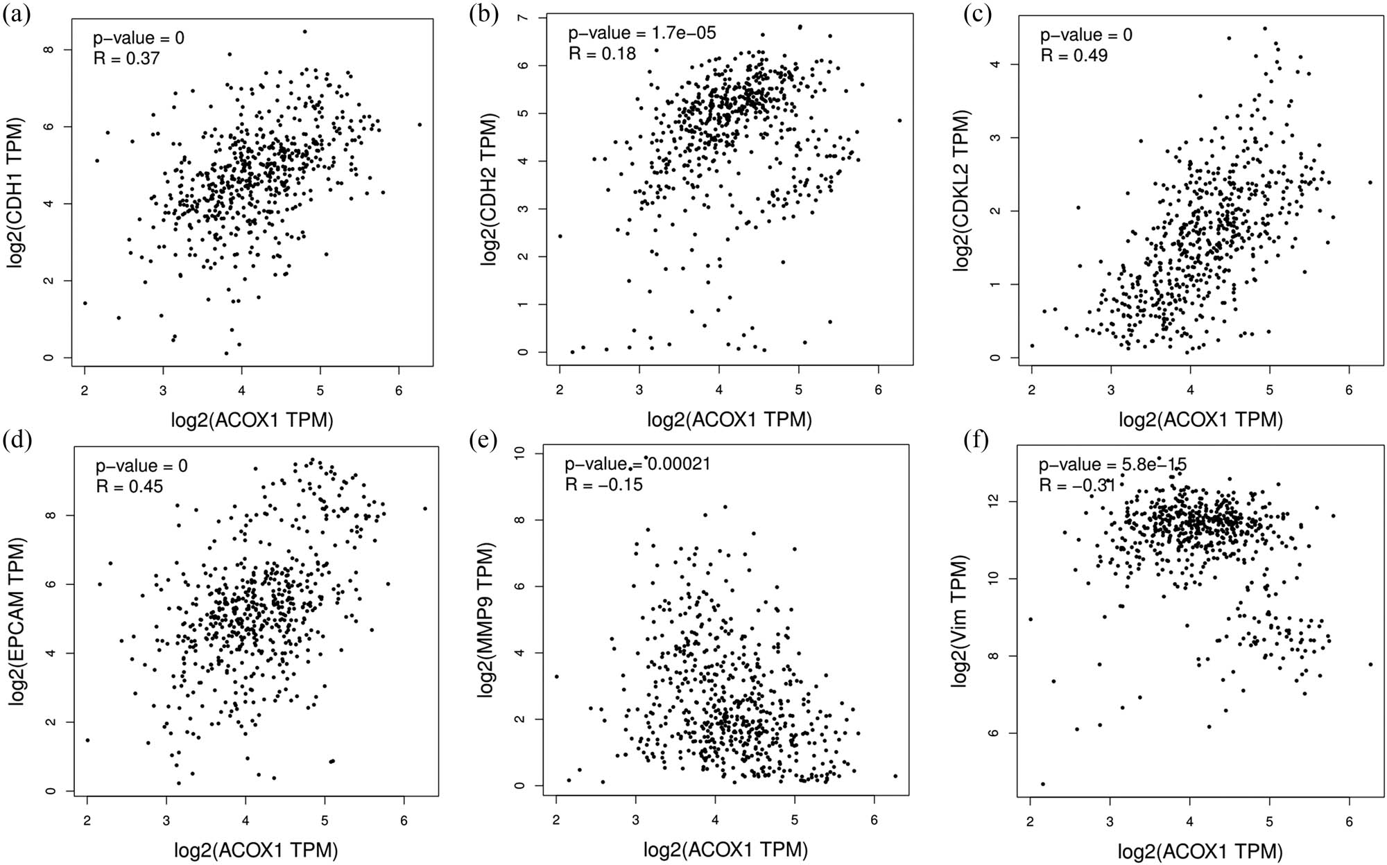 Figure 5 
                  Correlation of ACOX1 mRNA transcript levels in ccRCC with EMT-related genes. (a–f) Based on the TCGA database, the expression of ACOX1 with CDH1, CDH2, CDKL2, EPCAM, MMP9, and VIM was analyzed.
               