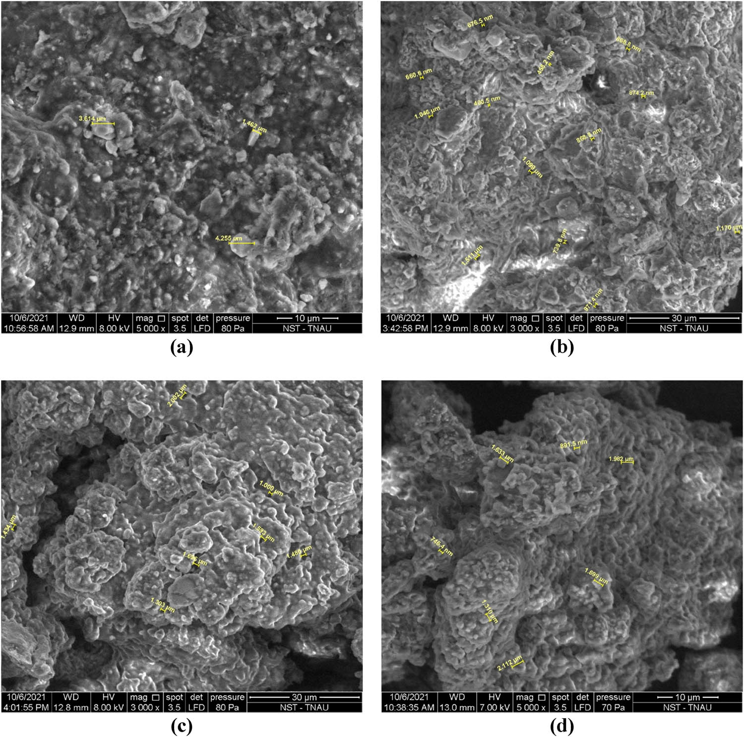 Figure 15 
                     SEM images of the (a) substrate, (b) digestate, (c) trypsin, and (d) papain enzymatic treatment.
                  