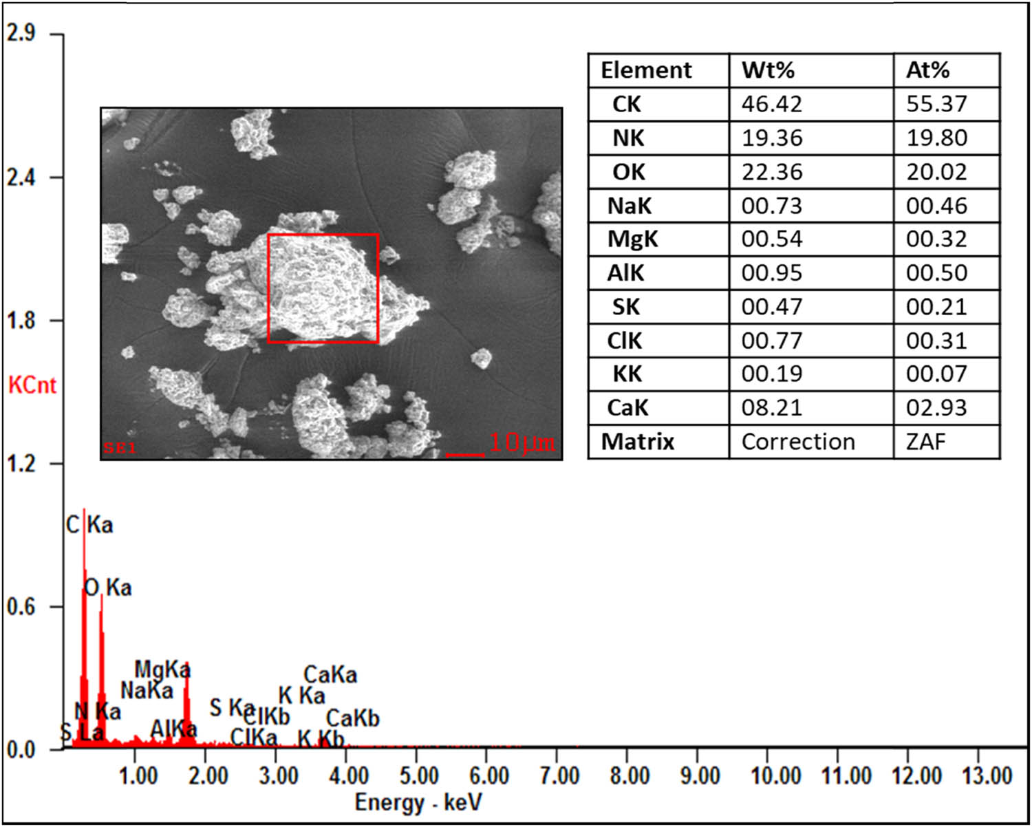 Figure 19 
                     EDAX analysis of the papain-treated sample.
                  