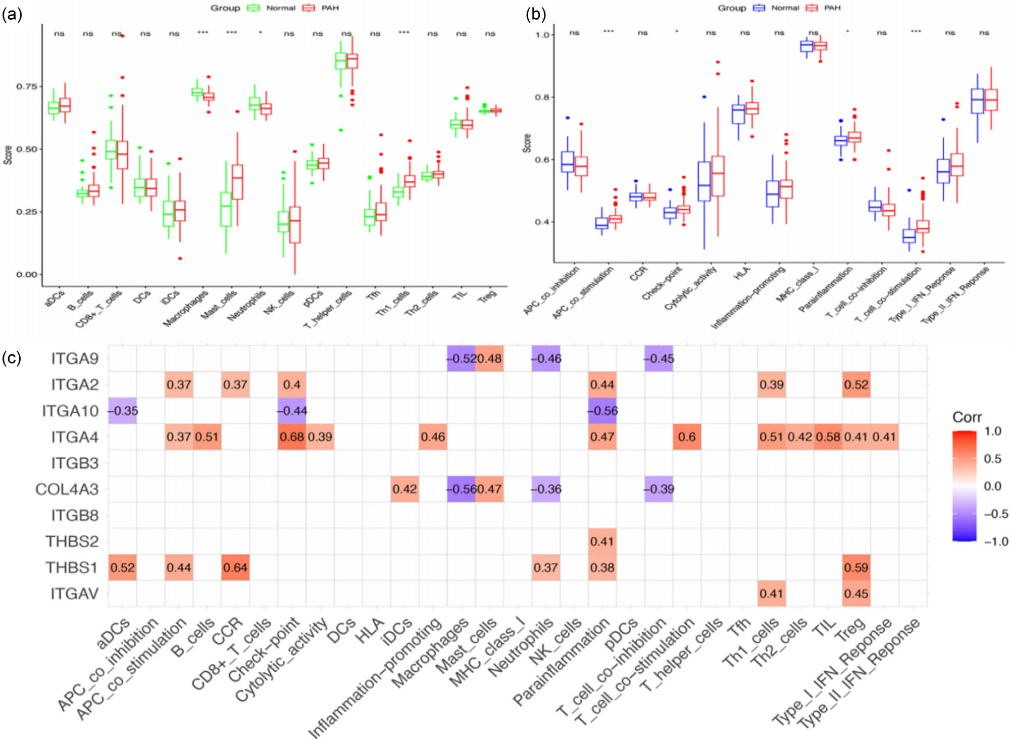 Figure 5 
                  Distribution and visualization of immune cell infiltration. (a) Line plot depicting infiltration of immune cells. (b) Line plot showing immune-related function. (c) The correlation plot displays the correlation between the BM-related genes and immune cells as well as immune function (***P < 0.001, **P < 0.01, and *P < 0.5).
               