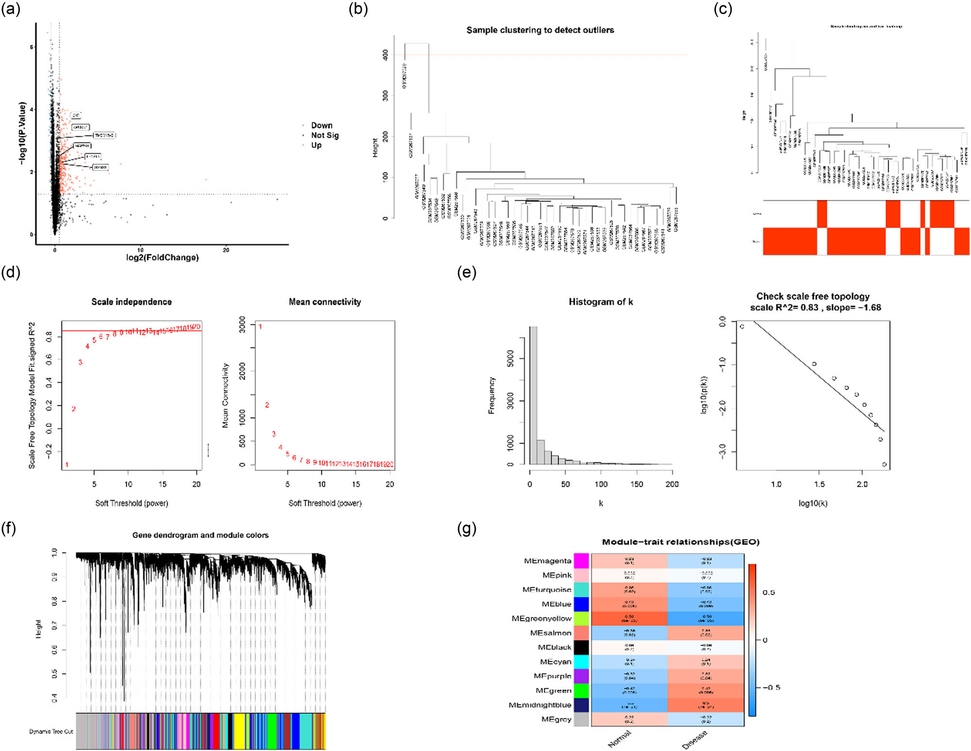 Figure 1 
                  DEGs and WGCNA analysis of pediatric CD and control groups (a) Volcano plot for mRNAs based on p-value < 0.05 and |log FC| > 0.5. (b) An outlier was detected when the critical value was 400. (c) Sample tree and corresponding clinical traits. Clustering was visualized by Pearson correlation coefficient calculation. (d) Identification of the best soft threshold for WGCNA. The mean connectivity was the best with a soft threshold of 13. (e) Construction of connection distribution histogram and checking of range-free topology (β = 13). (f) Dendrogram of all genes clustered utilizing a dissimilarity measure (1-TOM). (g) Identification of 12 modules related to the clinical traits of pediatric CD.
               