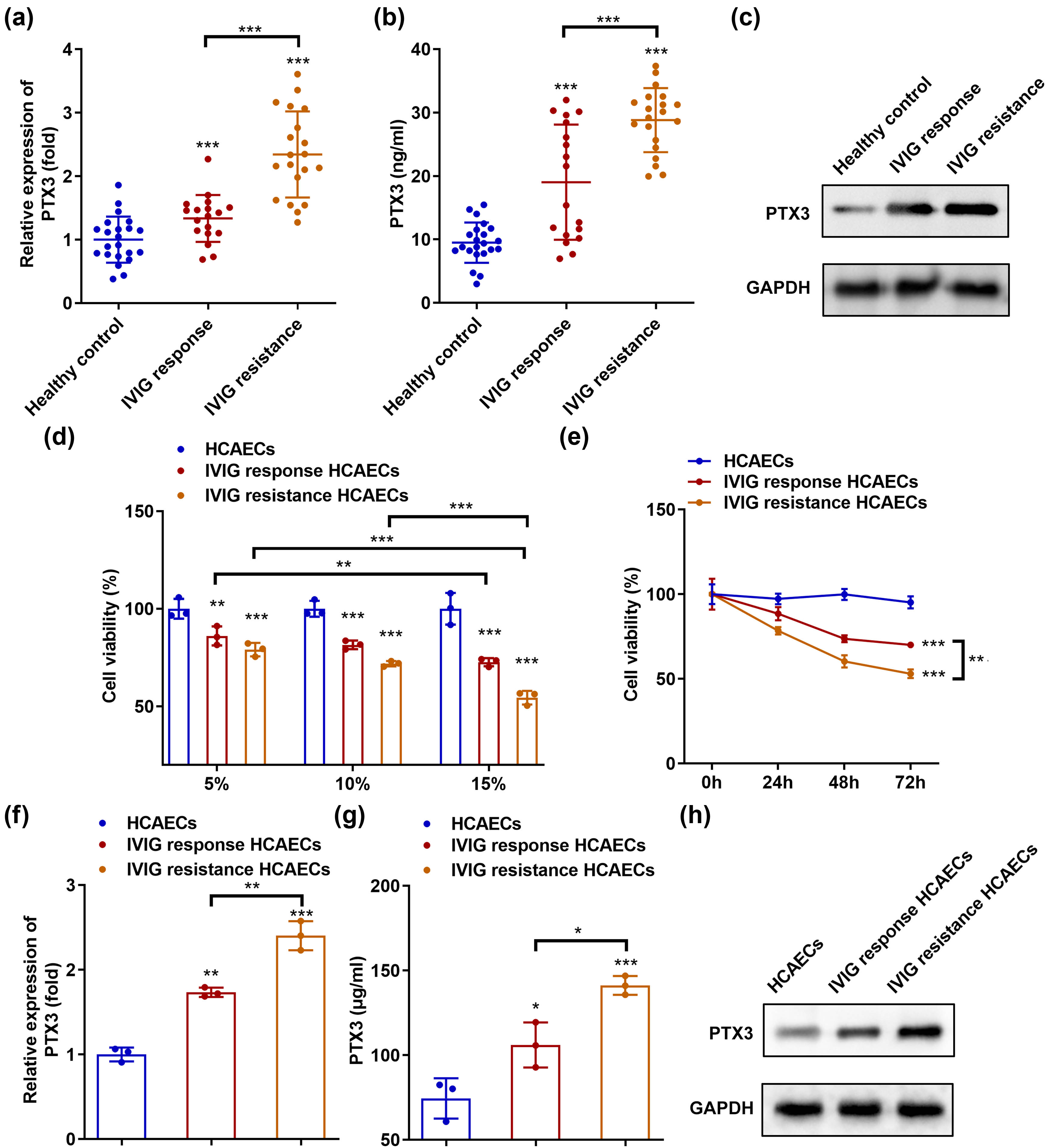 Figure 1 
                  PTX3 is highly expressed in patients and cells with IVIG resistance. The levels of PTX3 were measured in the serum of healthy controls and of patients who showed IVIG responses or IVIG resistance using (a) qRT-PCR, (b) ELISA, and (c) western blotting. (d) HCAECs were incubated with 5, 10, or 15% serum for 24 h, and cell viability was evaluated using the MTT assay. (e) HCAECs were incubated with 15% serum for 0, 24, 48, and 72 h; MTT assays assessed cell viability. (f) qRT-PCR, (g) ELISA, and (h) western blotting were used to detect PTX3 levels in HCAECs, IVIG-responsive HCAECs, and IVIG-resistant HCAECs. *P < 0.05, **P < 0.01, and ***P < 0.001.
               
