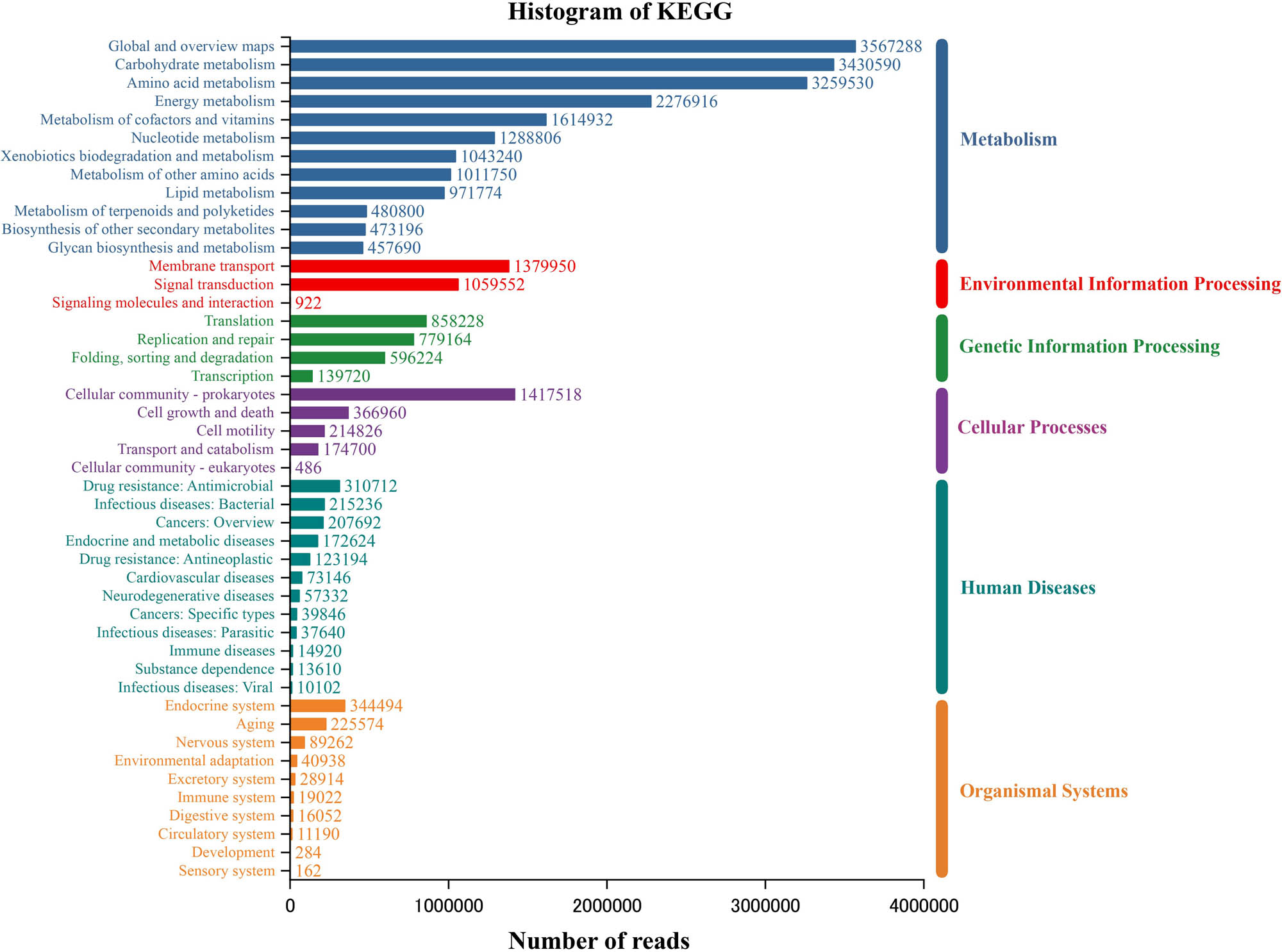 Figure 7 
                  The annotated statistical map of the KEGG function of the rhizosphere microbiome of A. lancea.
               