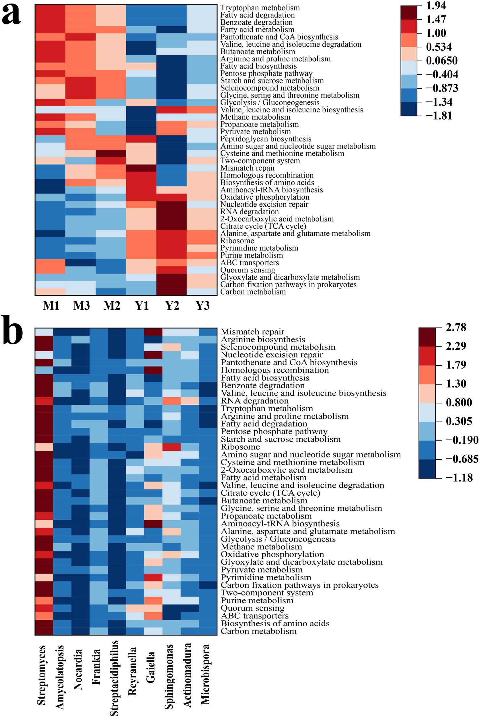 Figure 8 
                  (a) Heat map analysis of the top 40 most abundant KEGG functional pathways using normalized abundance. The heat map is color-coded based on z-scores (zero mean normalization). (b) Pearson correlation analysis between genera with significant difference between Mao and Ying and metabolic pathway on level 3.
               