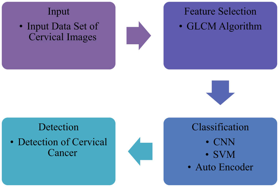 Figure 2 
               Optimised feature selection-driven CNN using gray level co-occurrence matrix for detection of cervical cancer.
            