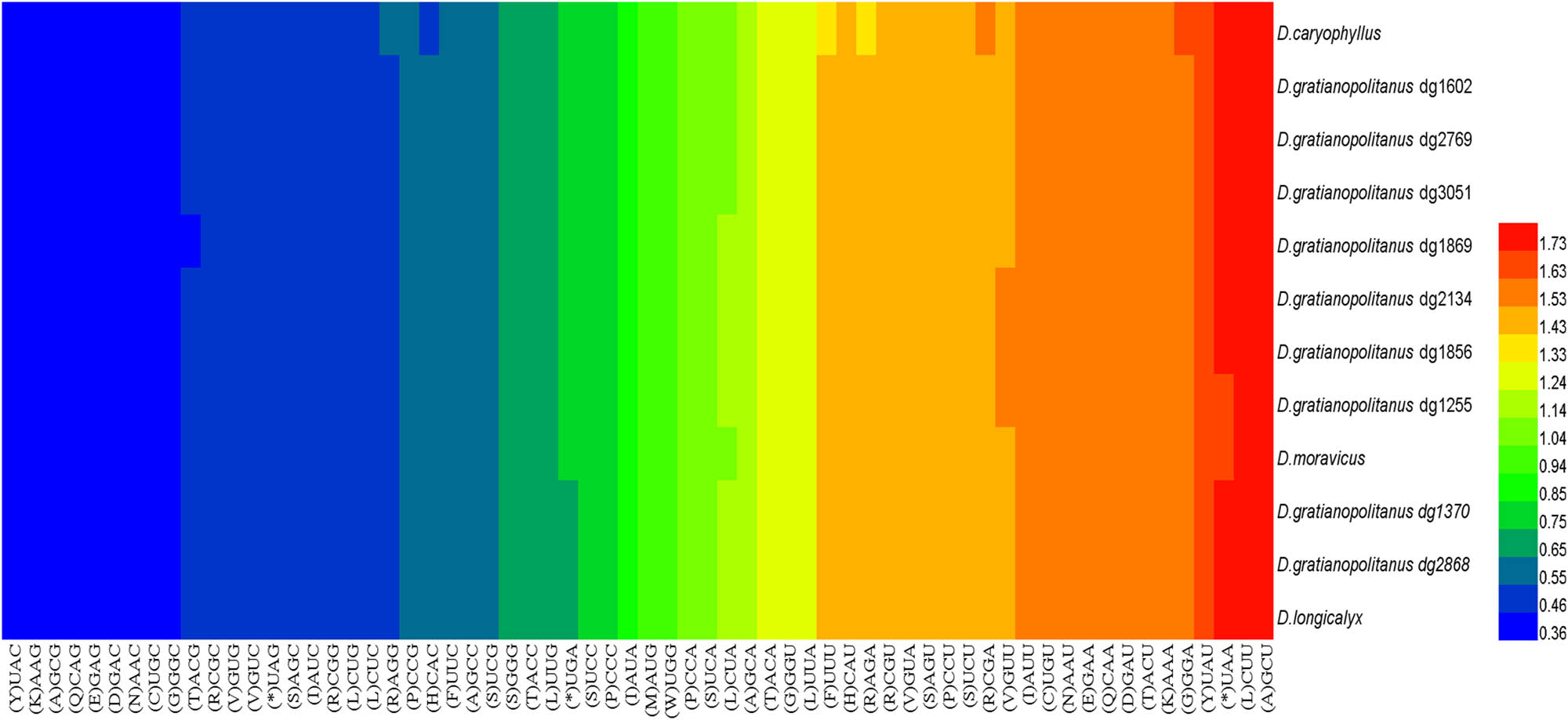 Figure 8 
                  Heat map of codons usage of 12 species. Different colors represent different RSCU values, red indicates a higher RSCU value and blue indicates a lower RSCU value.
               