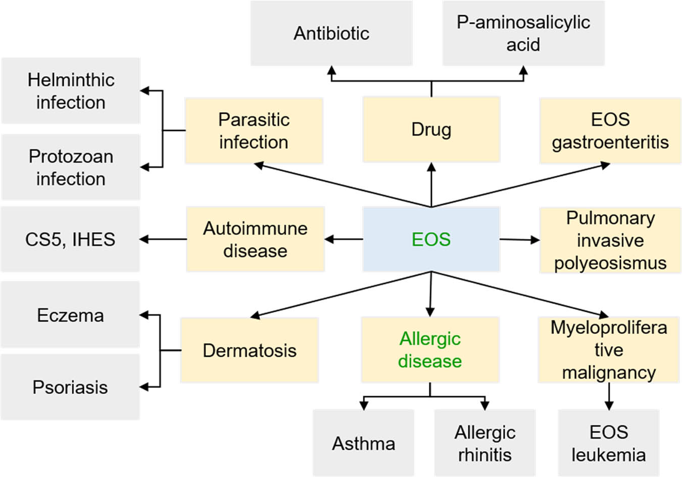 Figure 2 
               Influencing factors of EOS level change.
            