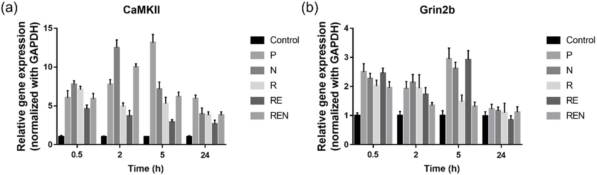 Figure 3
Effects of remifentanil combined with esketamine on the expression of CaMKII and Grin2b in sensory cortical area. (a) The expression of CaMKII in different groups from 0.5 h to 24 h. (b) The expression of Grin2b in different groups from 0.5h to 24 h.