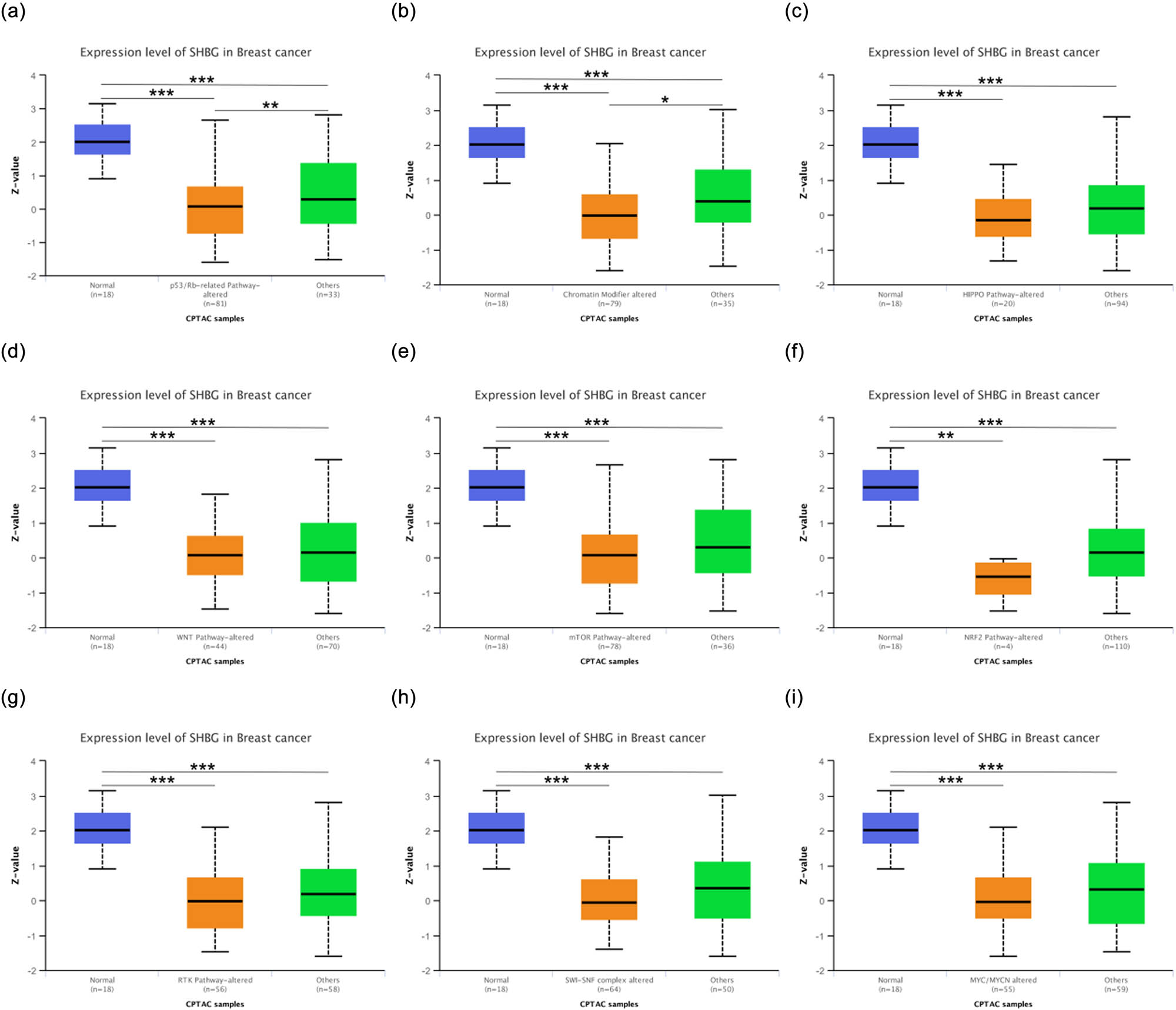 Figure 5
SHBG proteomic expression profile and its association with common tumor-related molecular pathways. (a–i) Pathway-level somatic alterations across tumors, involving key pathways and genes previously annotated across multiple cancer types based on domain knowledge (pathway annotations from PMID: 33568653), with all p value < 0.001. ***, p < 0.001; **, p < 0.01; *, p < 0.05.