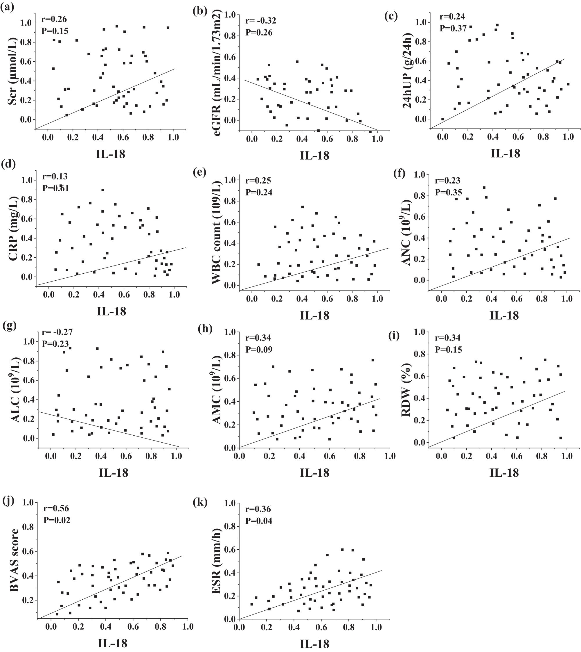 Figure 2
Correlation analysis of serum IL-18 levels with clinical indices (a–k represent the following indices in sequence: Scr, Egfr, 24hUP, CRP, WBC count, ANC, ALC, AMC, RDW, BVAS score, and ESR).