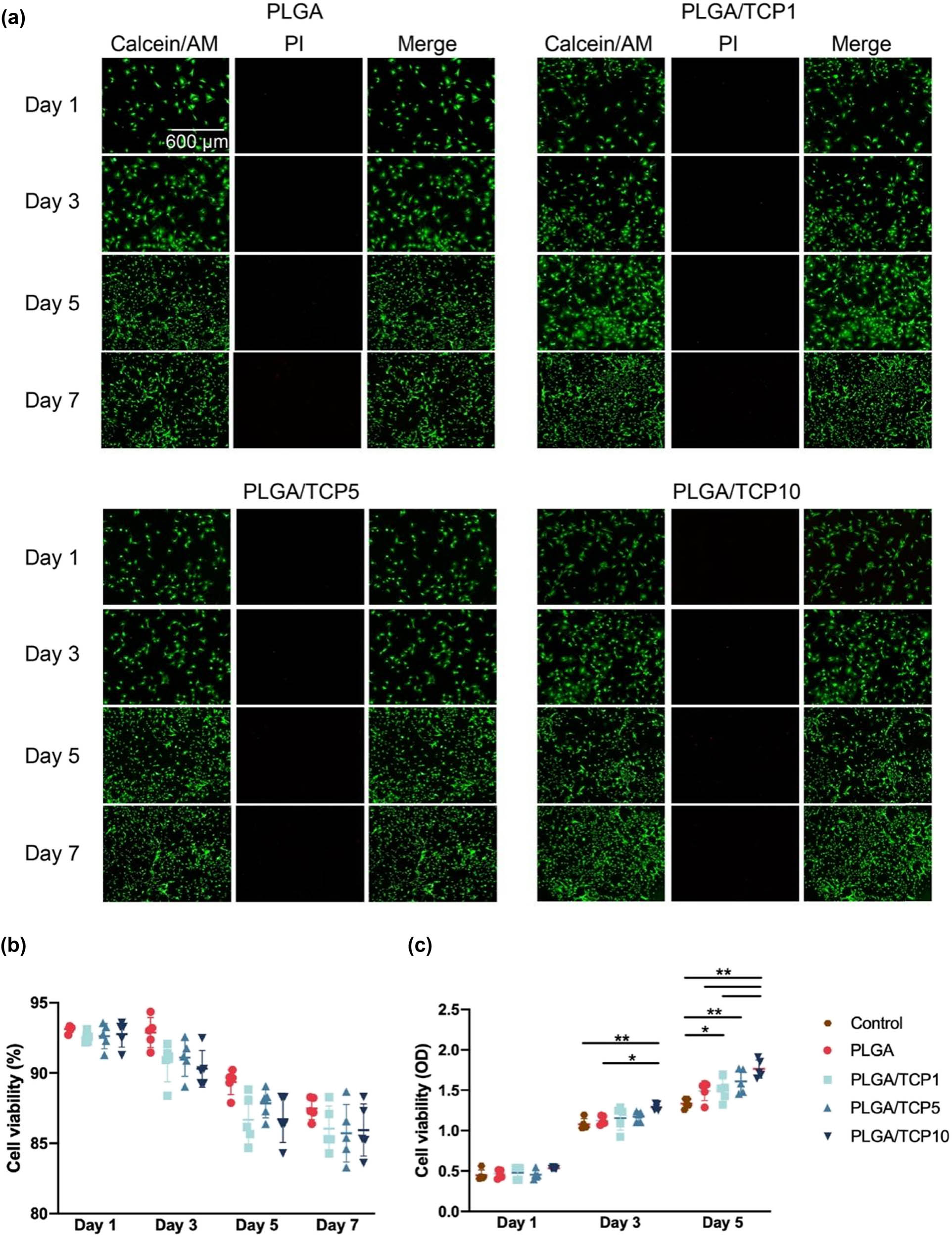 Figure 4
Proliferation and cell adhesion of BMSCs treated with extracts. (a) Live/dead staining results of BMSCs. (b) Cell viability according to the live/dead assays. (c) CCK-8 analysis of BMSCs. Data are presented as mean value ± SD; n = 3; *p < 0.05 and **p < 0.01.