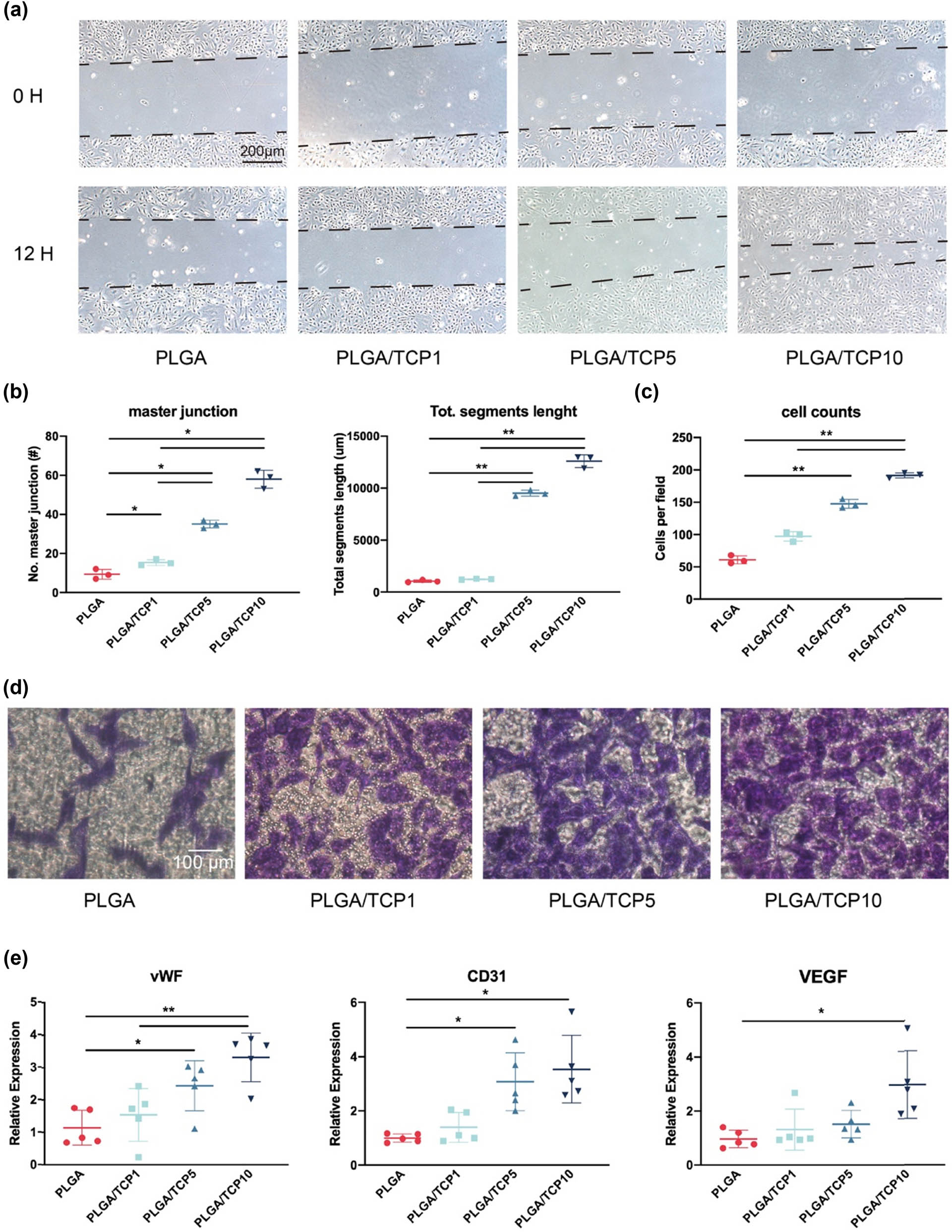 Figure 6
Angiogenic effect of HUVECs treated with extracts. (a) Tube formation assay of HUVECs cells. (b) Number of master junction and total segment length calculated with ImageJ. (c) Quantitative analysis of the Transwell assay. (d) Transwell assay of HUVECs cells. (e) Angiogenesis related gene expression of HUVECs cultured in extracts for 3 days. Data are presented as mean value ± SD; n = 3; *p < 0.05 and **p < 0.01.
