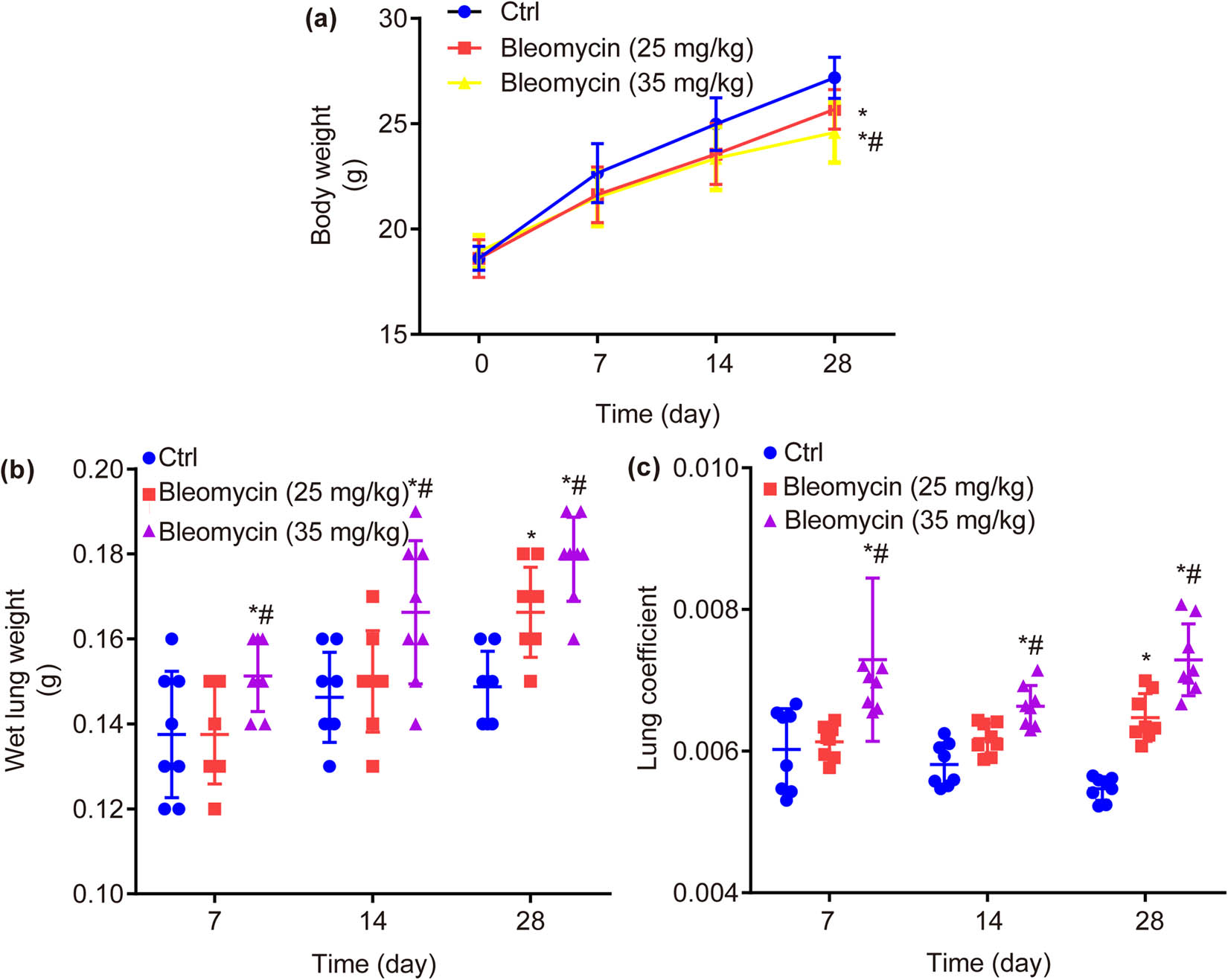 Figure 2
Body weight, wet lung weight, and lung coefficient of mice in each group. BLM dose- and time-dependently decreases body weight (a), while increases wet lung weight (b) and lung coefficient (c). *P < 0.05 vs ctrl, #
P < 0.05 vs BLM low group.