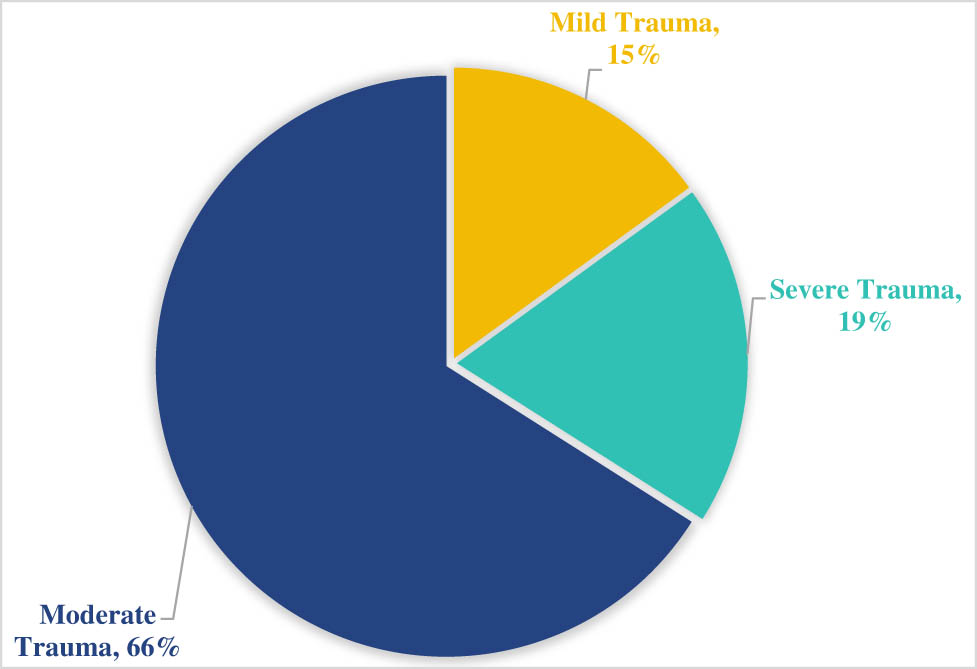 Figure 1
Composition of injury types.