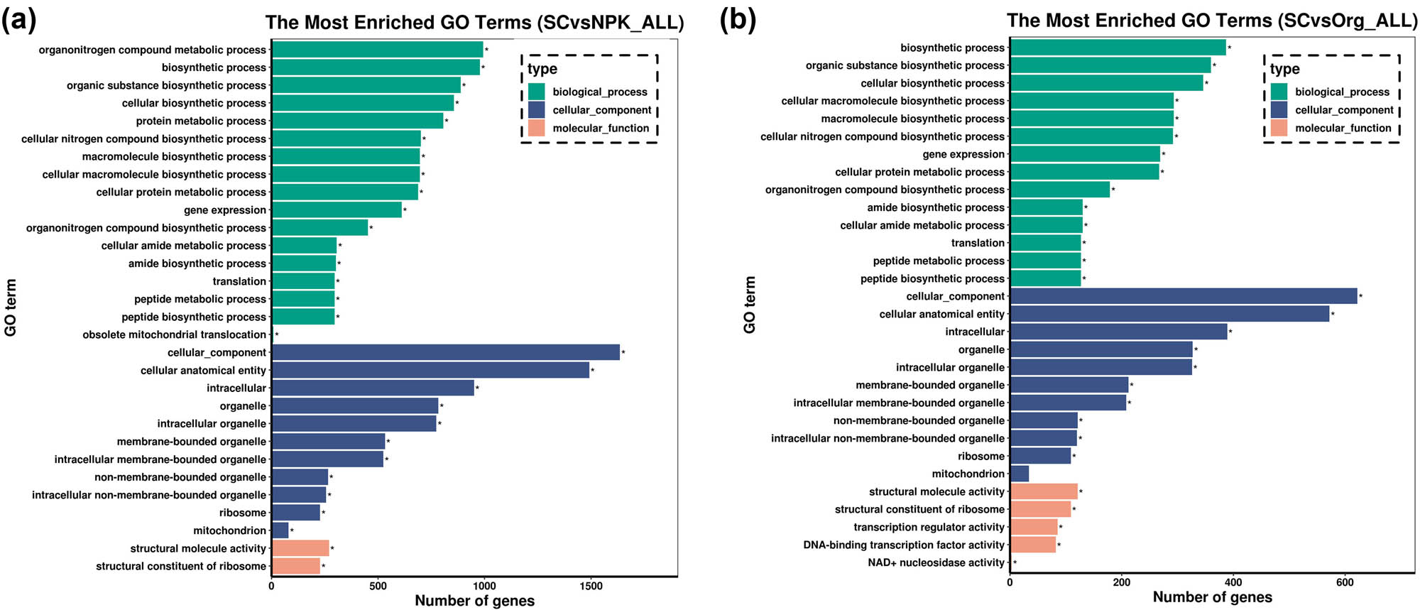 Figure 3 
                  GO enrichment analysis of DEGs: (a) SC vs NPK and (b) SC vs Org.
               