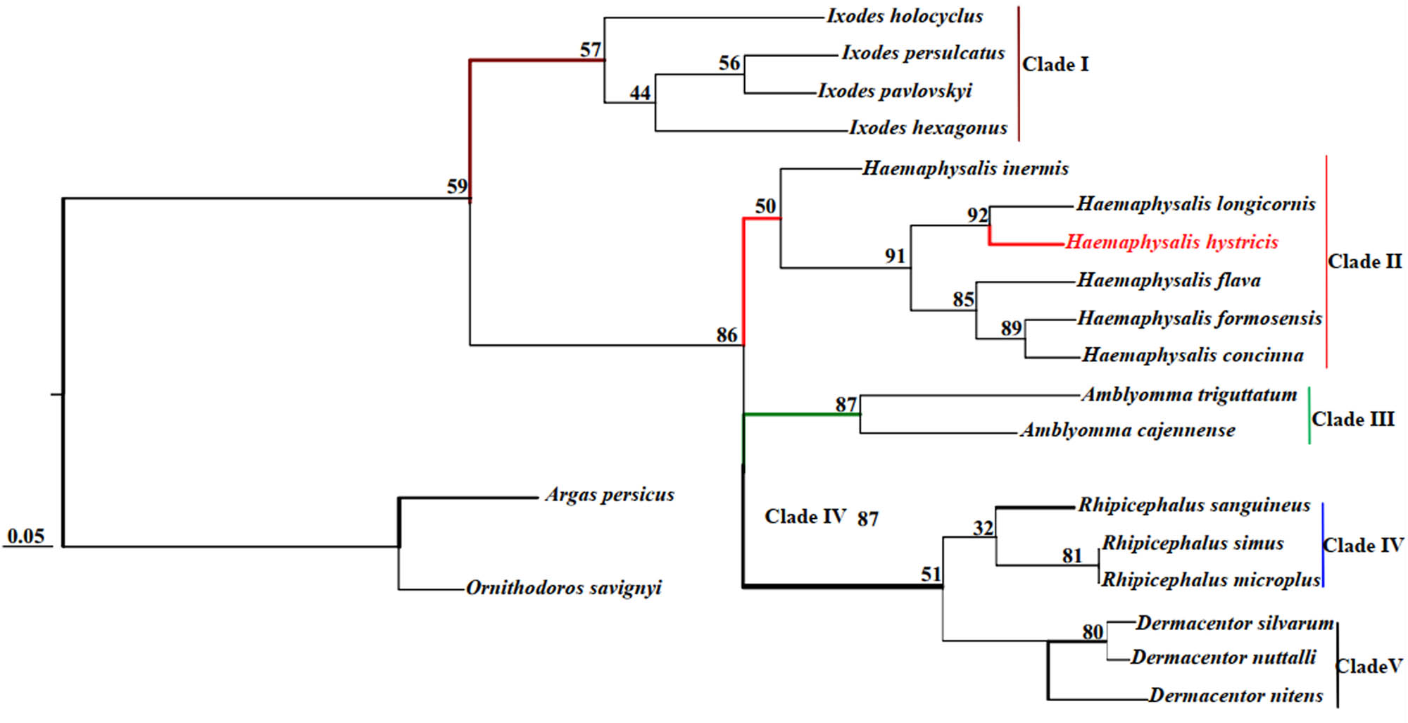 Figure 4
Phylogenetic tree (BI) of H. hystricis by concatenated sequences of 13 PCGs and 2 rRNAs.