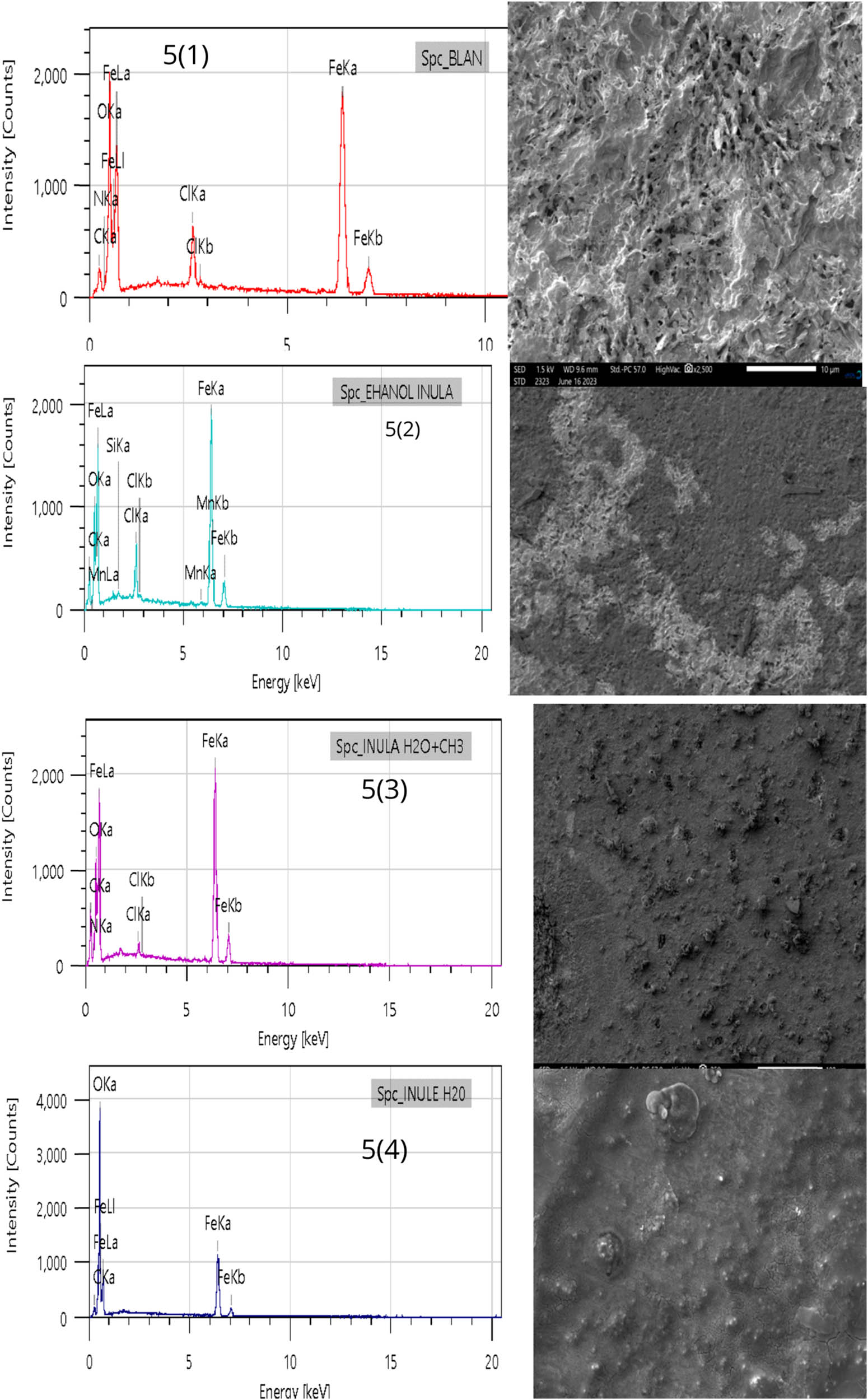 Figure 8 
                  SEM/EDX images of MS in a molar HCl solution under investigation, both without and with the presence of inhibitors, following 6 h of immersion.
               