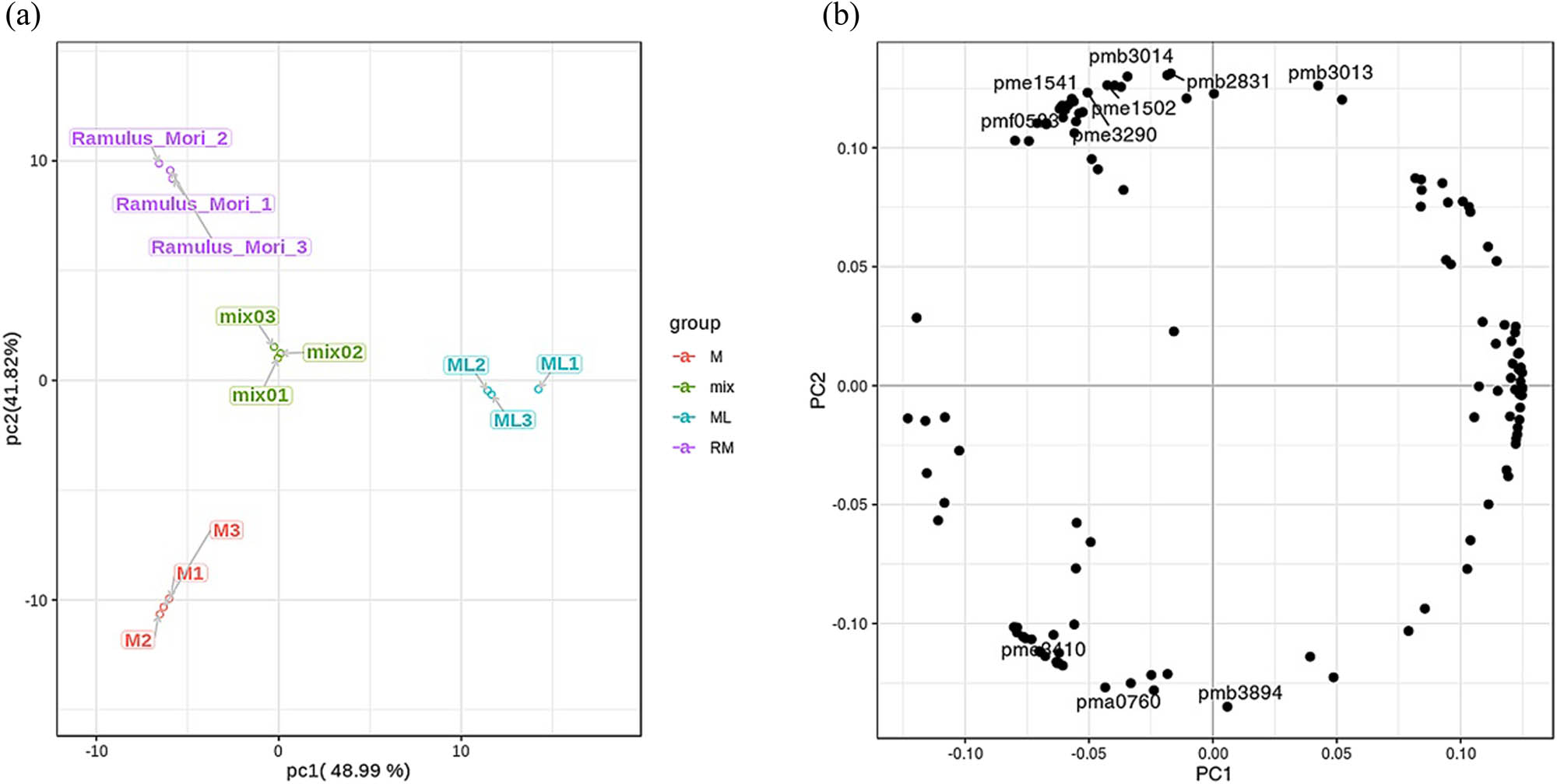 Figure 5 
                  Differential flavonoid metabolite analysis on the basis of (a) principal component (PCA) and (b) PCA loadings.
               