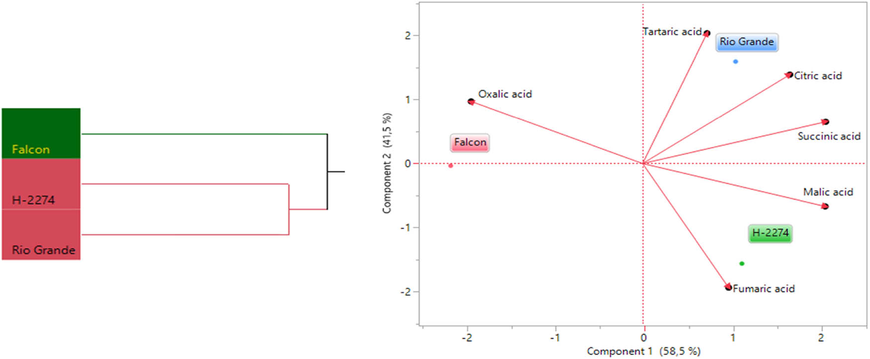 Figure 5
Dendogram obtained by two-way HCA shows the distribution of tomato varieties according to organic acid content (left). The biplot plot graph obtained by principal component analysis shows the relationships between tomato cultivars and organic acids (right).