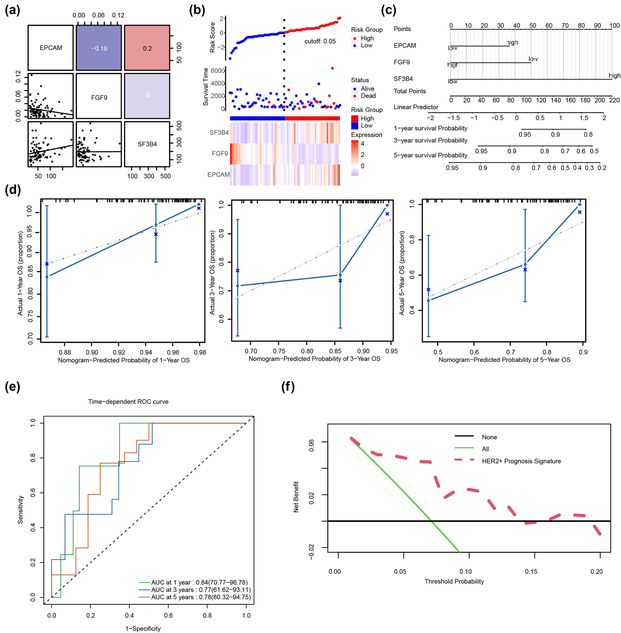 Figure 3
Constructing the predictive model using EPGs. (a) The link between EPGs in HER2+ BC. Red indicates a positive correlation, whereas blue indicates a negative correlation. (b) The relationship between EPGs and survival of patients with HER2+ BC. (c) The nomogram was created using Cox regression analysis of EPGs from the TCGA-BRCA dataset, specifically for HER2+ BC. The middle section reflects the expression levels of FGF9, SF3B4, and EPCAM, while the total score represents the total score of the patient based on the three gene scores. The total score correlates with the chance of occurrence listed below it. (d) The 1-, 3-, and 5-year recall curves revealed that the black diagonal dashed line representing the true sample situation and the blue solid line representing the predicted patient’s disease status by the prediction model overlapped in most cases. (e) The time-dependent ROC curve demonstrated the model’s ability to predict 1-, 3-, and 5-year survival. (f) The plot DCA of ERGs in the Cox regression model. The vertical axis indicates net income, and the horizontal axis represents probability threshold or threshold probability.