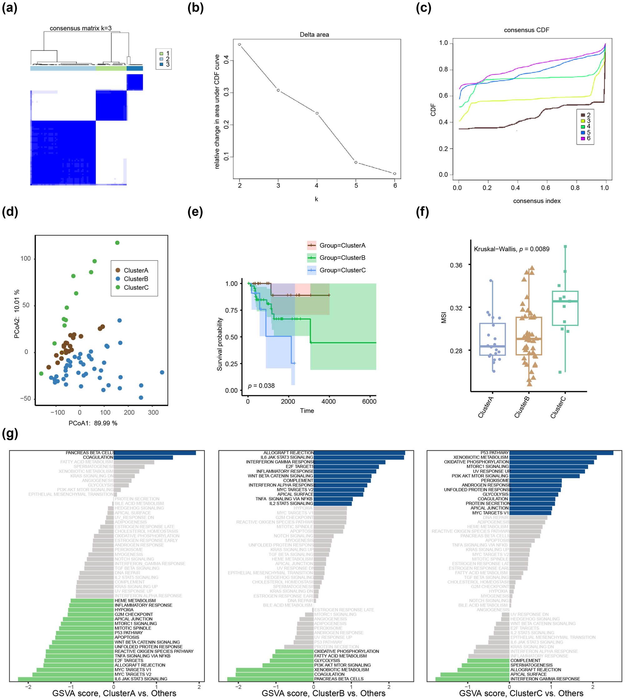 Figure 4
Unsupervised cluster analysis for TCGA-BRCA. (a) Consensus clustering based on EPGs (FGF9, SF3B4, and EPCAM TCGA) in the HER2+ BC dataset. (b) The scree plot according to cluster analysis. (c) Cumulative distribution function showed the consensus index under different K values. (d) PCoA analysis among the three clusters. (e) Survival curves showed the survival probability of patients in the three clusters. (f) The difference in MSI of patients in the three clusters. (g) Kyoto Encyclopedia of Genes and Genomes bifunctional enrichment analysis for Cluster A, Cluster B, and Cluster C.