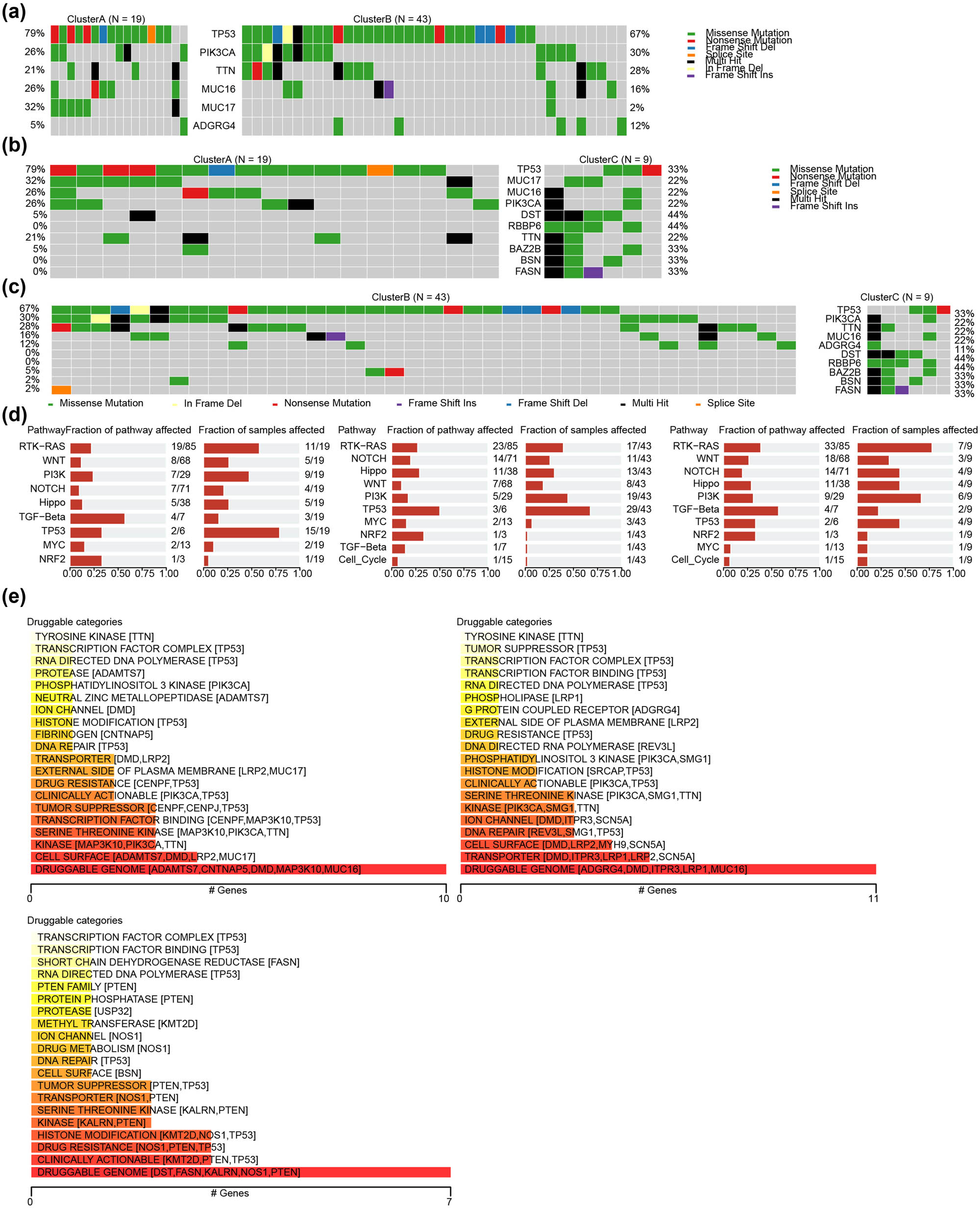 Figure 5
Mutation and gene druggability analysis for EPGs in the HER2+ BC subgroup. Comparing the landscape of mutations in ERGs among HER2+ BC subgroup in (a) Cluster A vs Cluster B, (b) Cluster A vs Cluster C), (c) Cluster B vs Cluster C. (d) Biological functional analysis affected by mutations in exosome-related HER2+ BC subgroup (left: Cluster A, middle: Cluster B; right: Cluster C). (e) The categories of potential role of druggability.