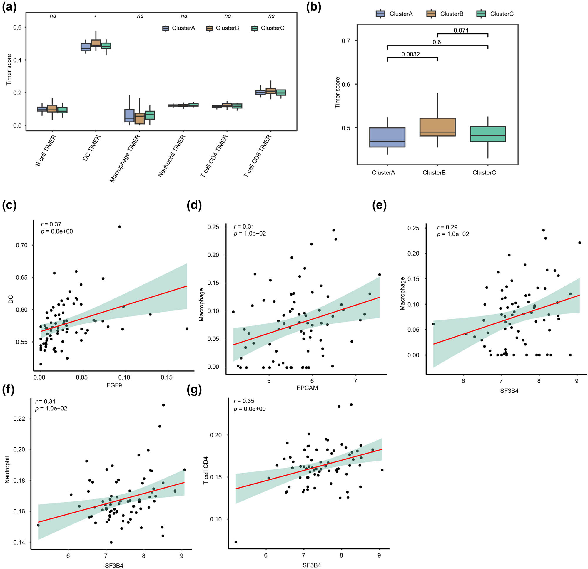 Figure 6
Immune infiltration analysis for EPGs in the HER2+ BC subgroup. (a). The box diagram of immune cell infiltration abundance in the exosome-related HER2+ BC subgroup. (b) Pair-wise comparisons of the box plot among the three subgroups. (c) Correlation analysis between FGF9 and DC infiltration abundance. (d) Correlation analysis between EPCAM and macrophage infiltration abundance. (e) Correlation analysis between SF3B4 and macrophage infiltration abundance. (f) Correlation analysis between SF3B4 and neutrophil infiltration abundance. (g) Correlation analysis between SF3B4 and CD4+ T cells infiltration abundance.