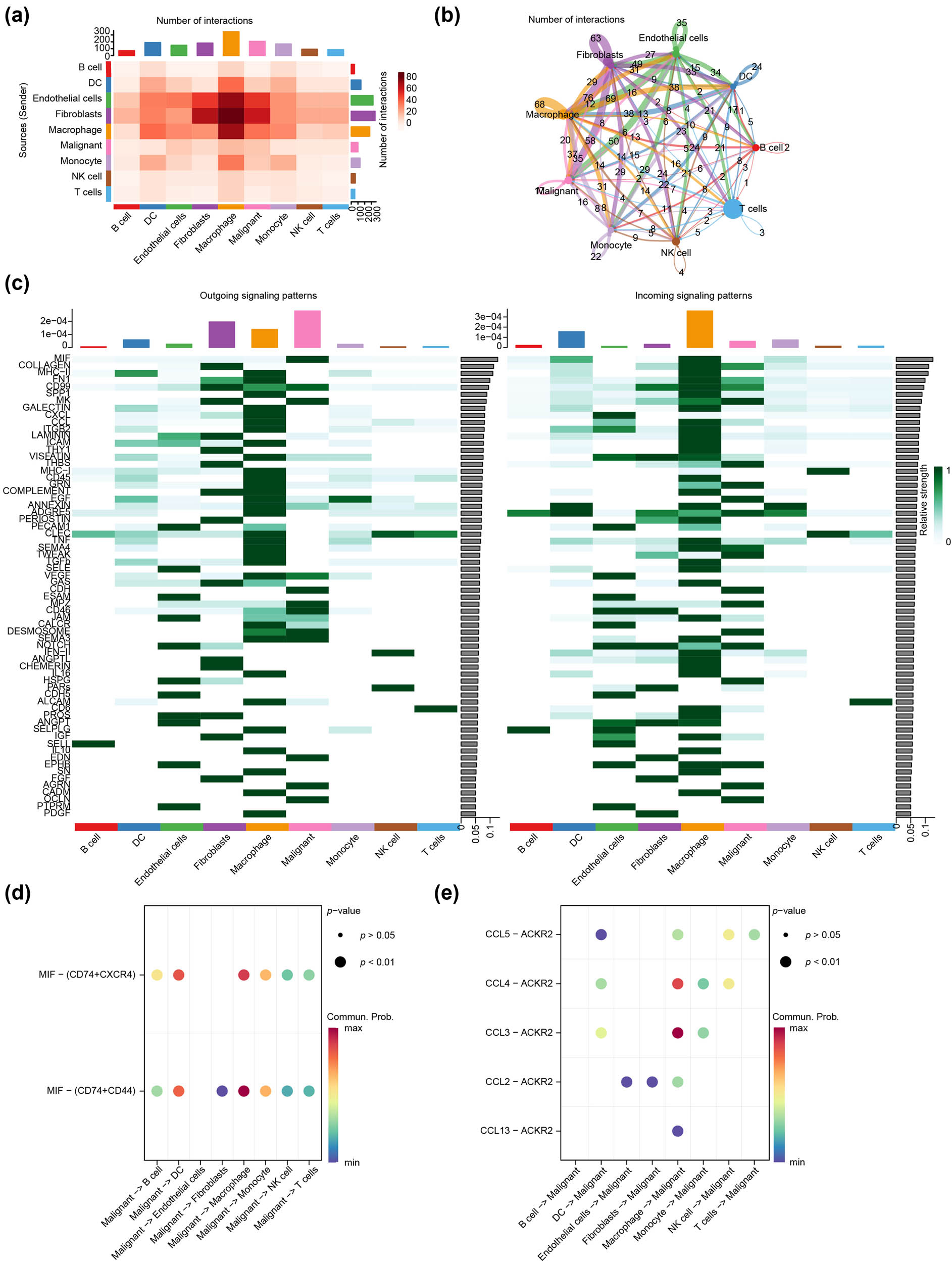 Figure 8
Cell–cell communication analysis. (a) The heatmap revealed the intensity of cell–cell communication including T cells, B cells, endothelial cells, epithelial cells, fibroblasts, monocytes, NK cells, DCs, and macrophages based on the GSE176078 dataset. (b) Circular graph exhibits cell communication numbers. (c) The heat map indicating contribution values of pathway involved in output and input, with the green color representing the intensity of correlation between the cells with each other. (d) and (e) Bubble diagram showing the cell–cell communication (d) received and (e) emitted by malignant epithelial cells. The bubble size represents the p-value, and the color represents the cell–cell communication probability.
