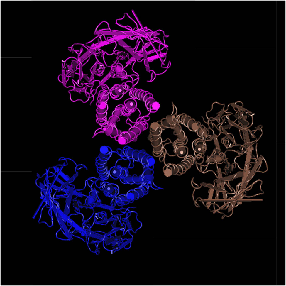 Figure 3
Three-dimensional structure of Cry1B.867.