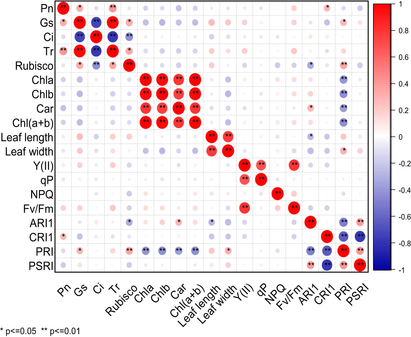Figure 4
Correlation analysis of photosynthetic characters of cowpea varieties under EBR treatment and NaCl stress. ** Indicates significant correlation at 0.01 level, while * indicates significant correlation at 0.05 level. The red balls in the graph represent a positive correlation between two indicators, while the blue balls represent a negative correlation. The deeper color or larger size of the balls represents a stronger correlation.