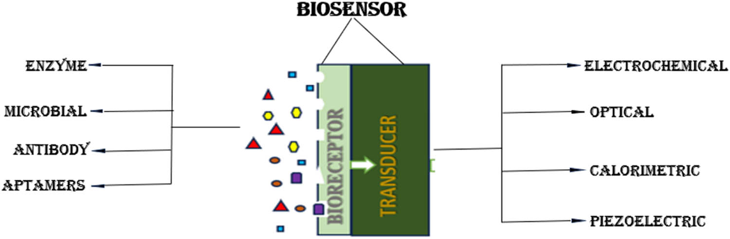 Figure 2
The classification of biosensor based on bioreceptor and transducer parts.