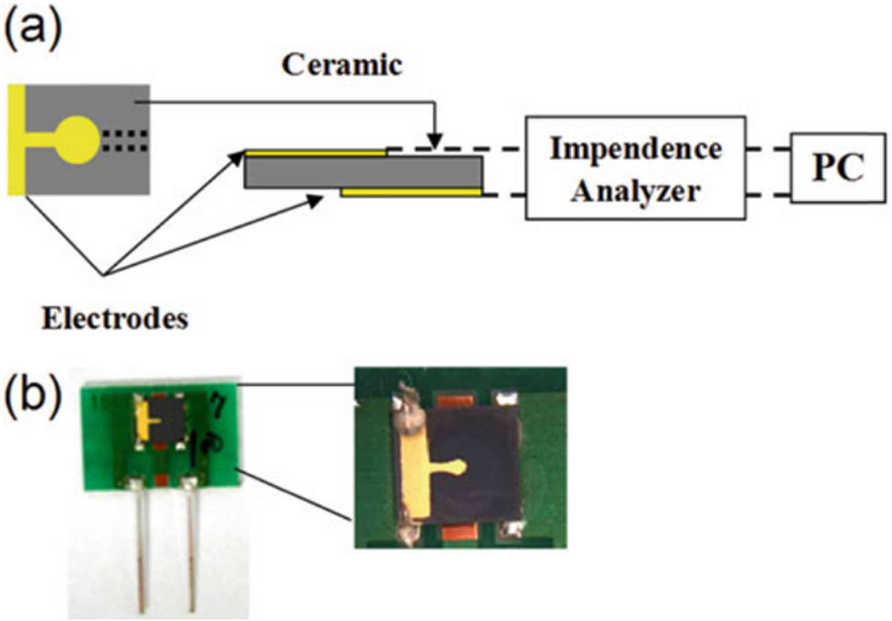 Figure 3 
                  A PZT-based piezoelectric biosensor for the early detection of cancer markers. (a) Shows various layouts of the ceramic resonators and (b) a photograph of the ceramic resonator typically shows a small, disk-shaped, or rectangular component with electrodes attached (40 MHz ceramic resonator) taken from Su et al. [74].
               